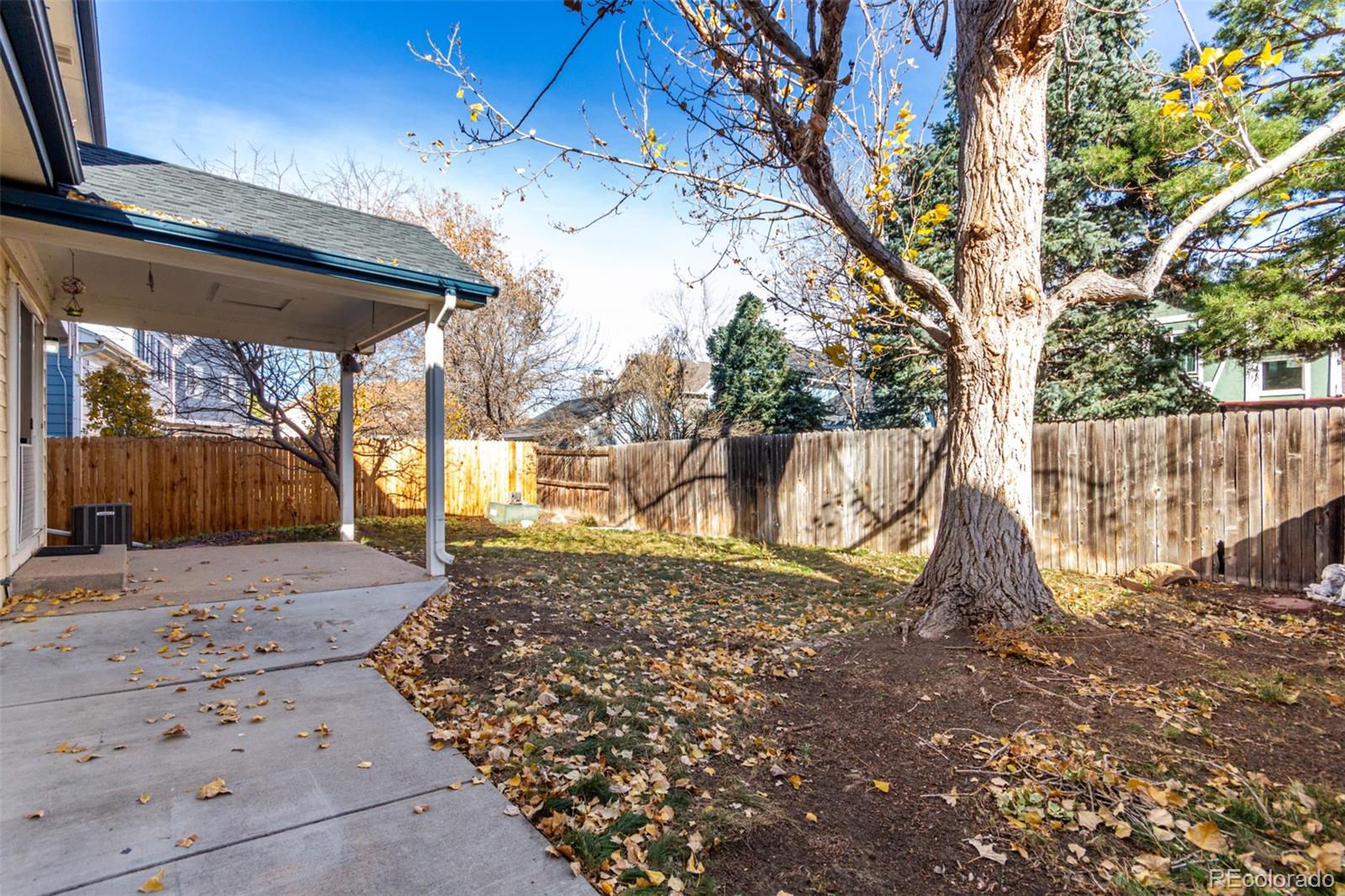 12224 Sunflower Street