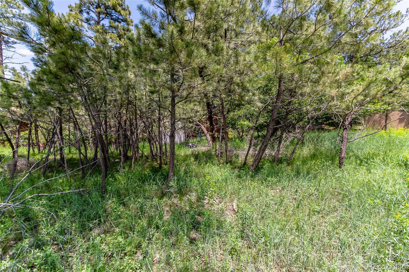 9708 Elizabeth Street