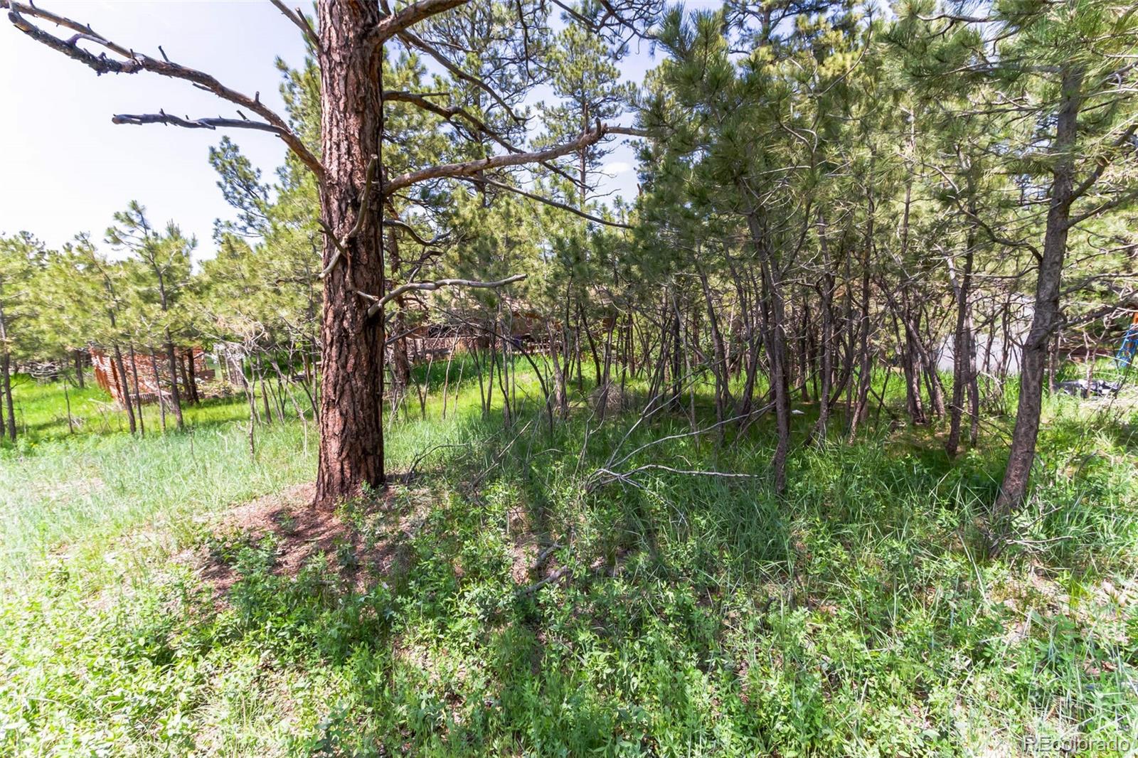 9708 Elizabeth Street