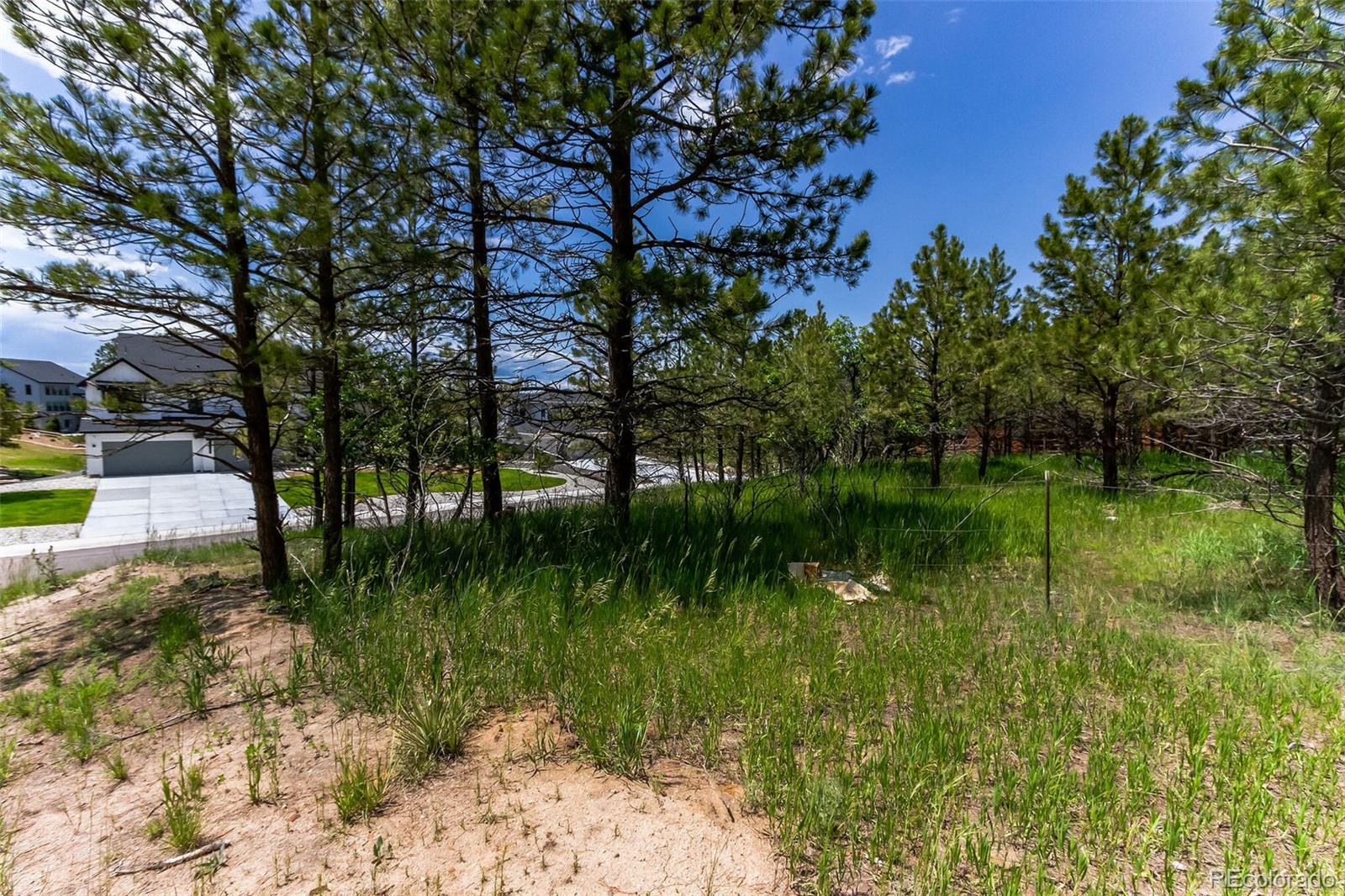 9708 Elizabeth Street