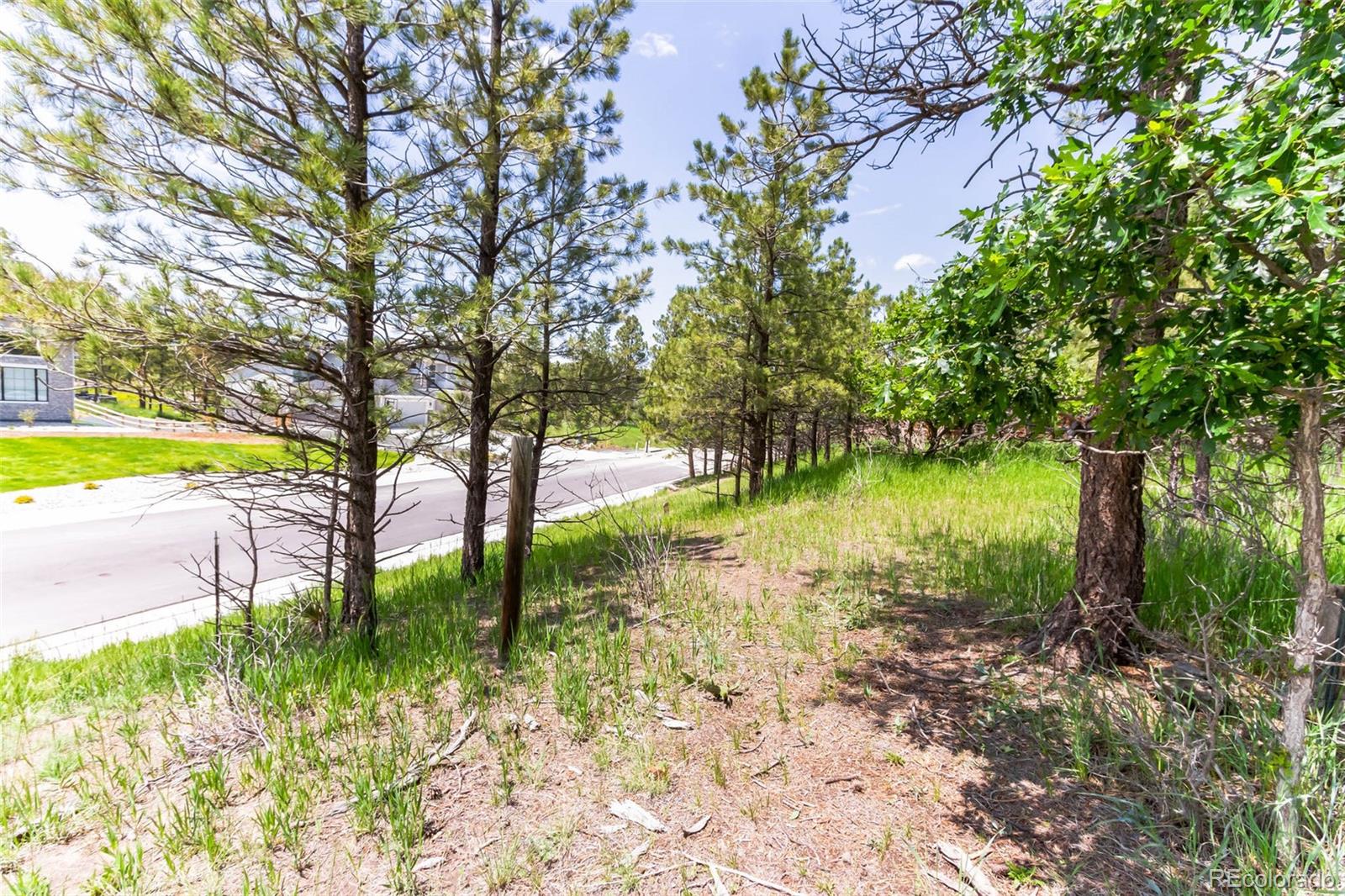 9708 Elizabeth Street