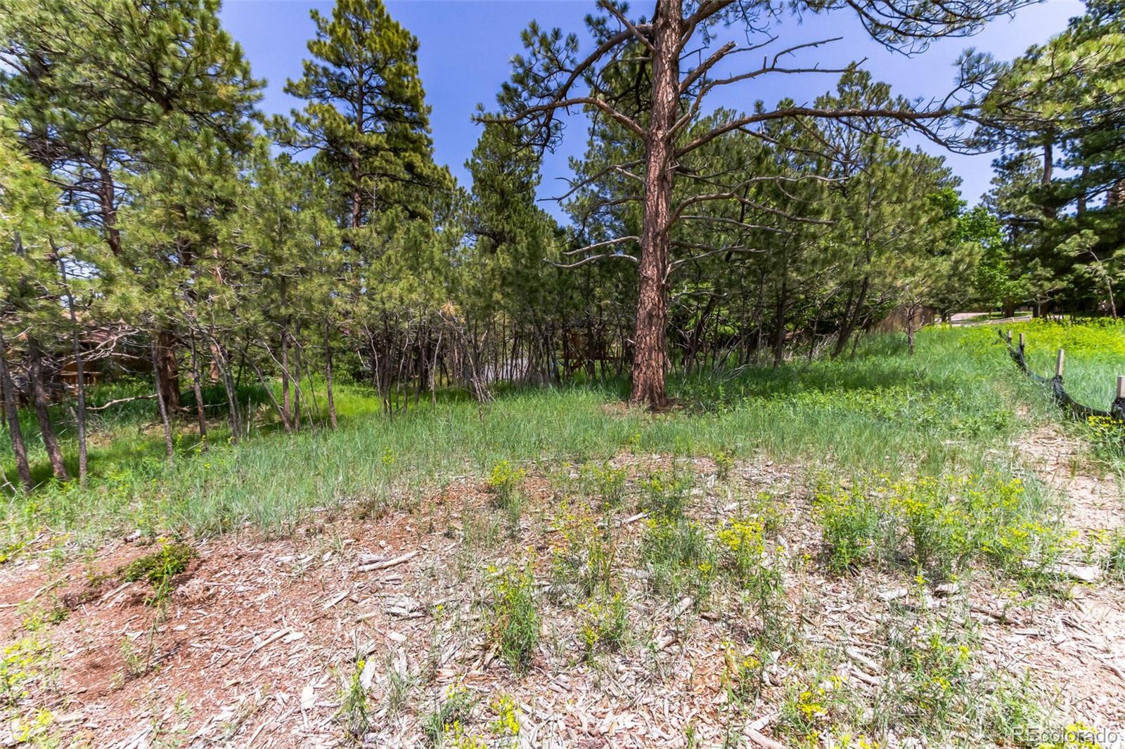 9708 Elizabeth Street