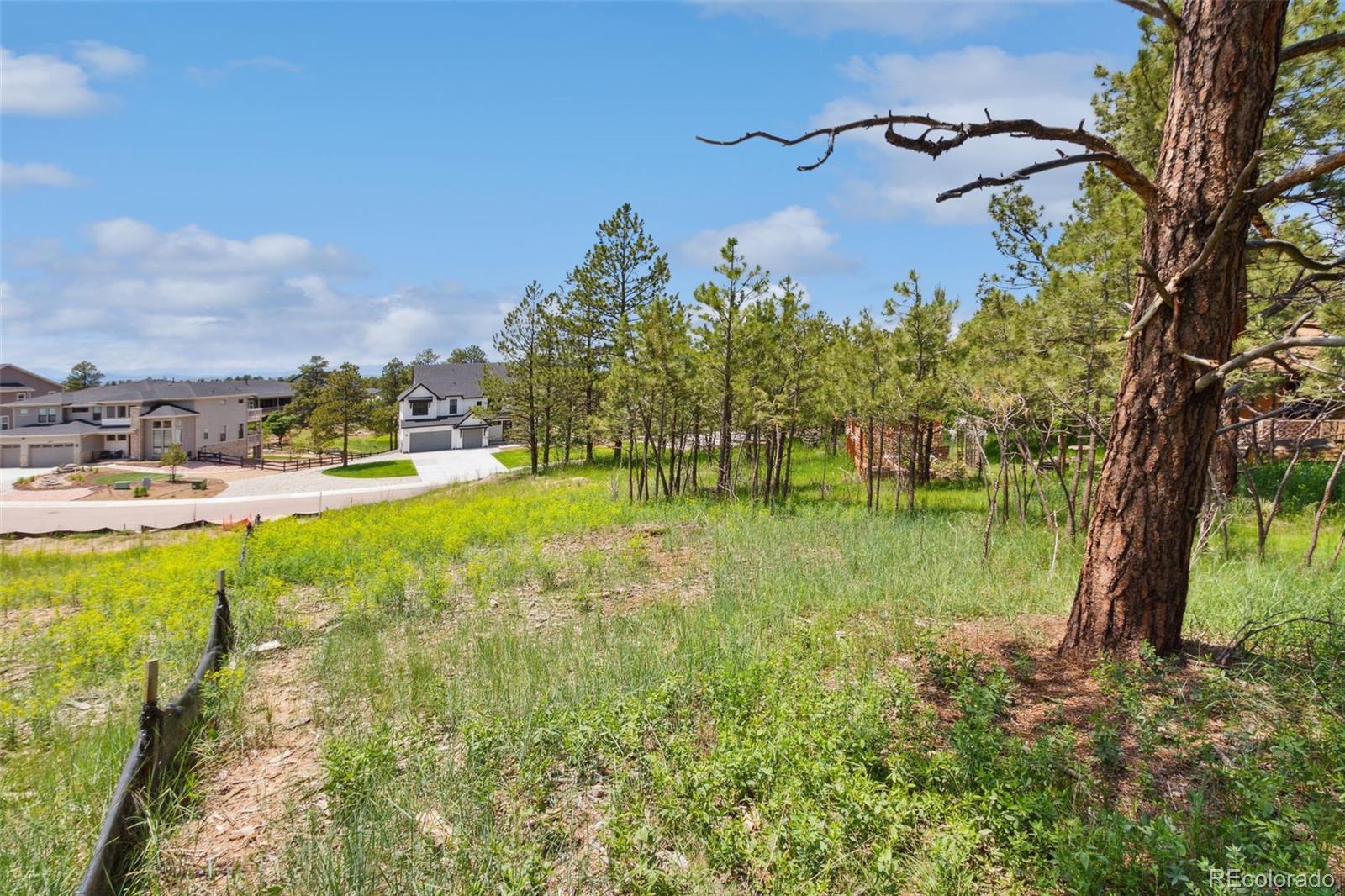 9708 Elizabeth Street