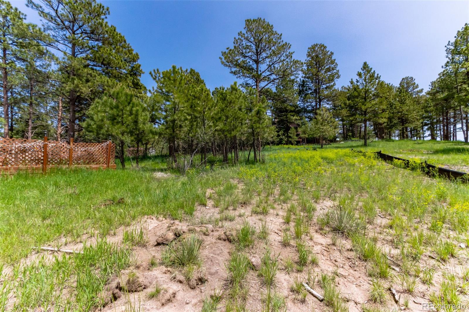 9708 Elizabeth Street