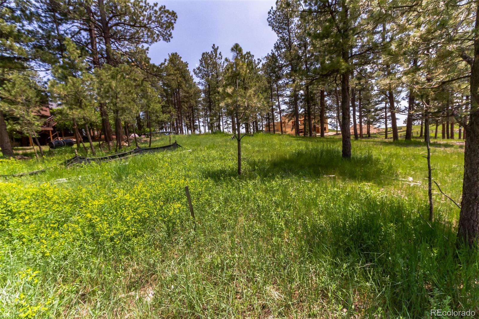 9708 Elizabeth Street