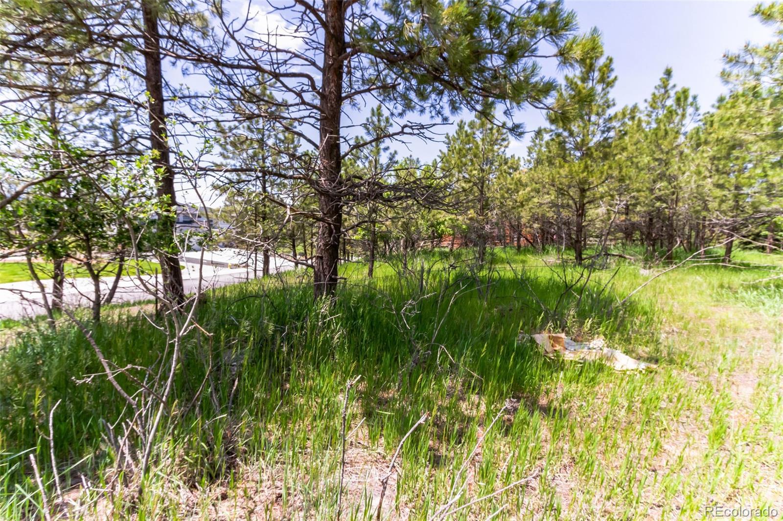 9708 Elizabeth Street