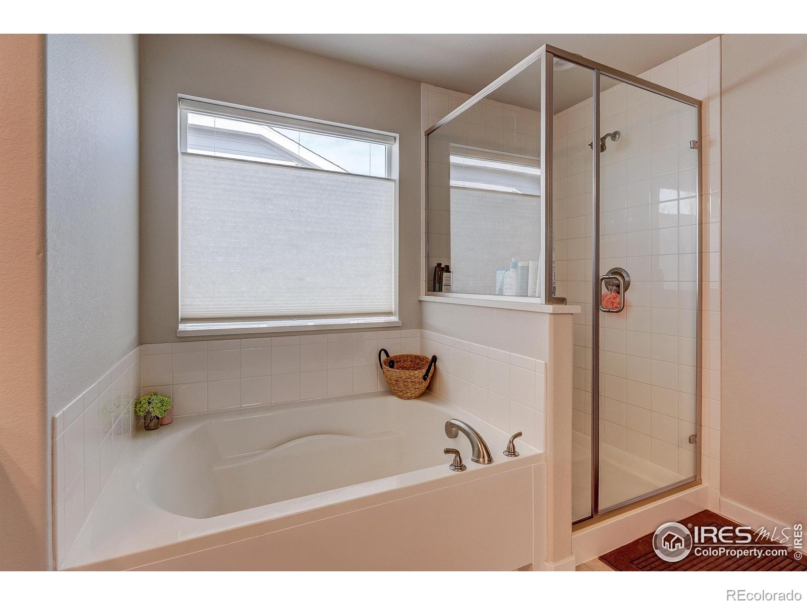 252 Mount Rainier Street