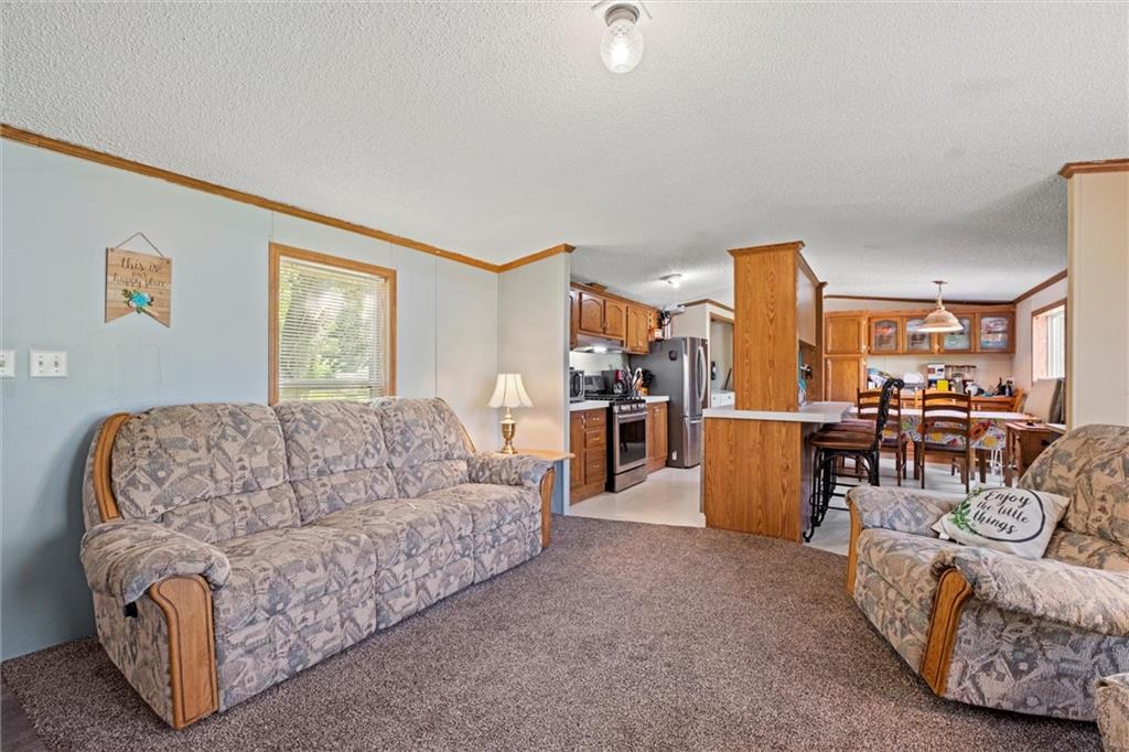 111 Racoon Court