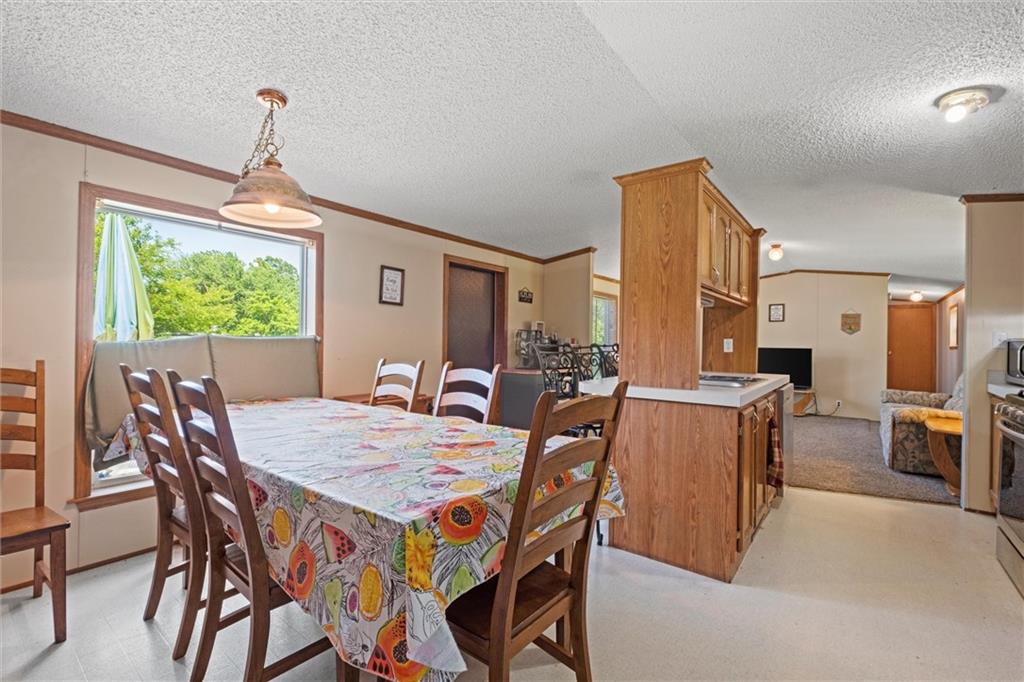 111 Racoon Court