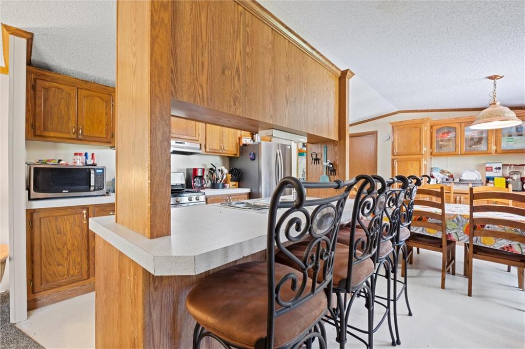 111 Racoon Court