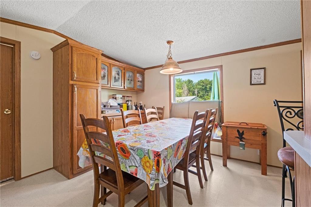 111 Racoon Court