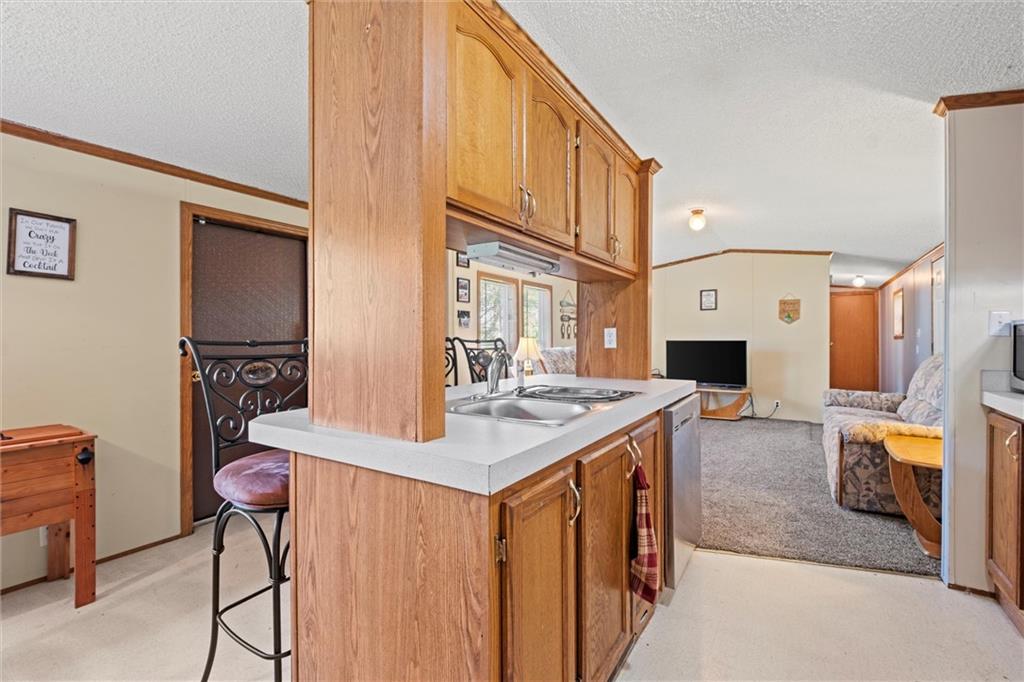 111 Racoon Court