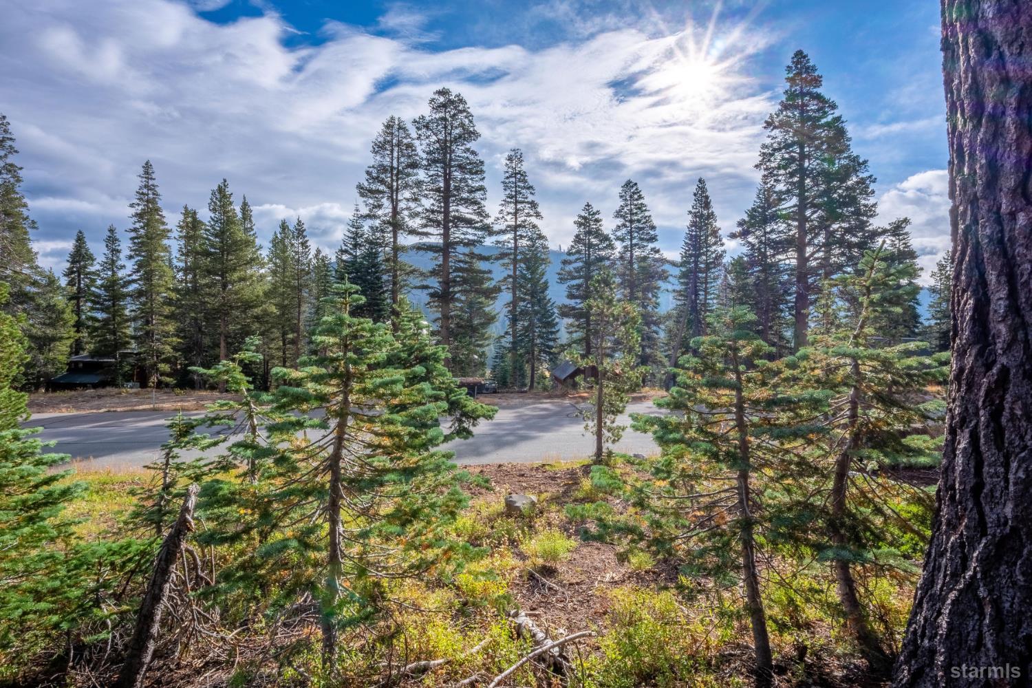 Wooded roadside property with pine trees and distant mountain views beneath a bright, cloud-streaked sky.