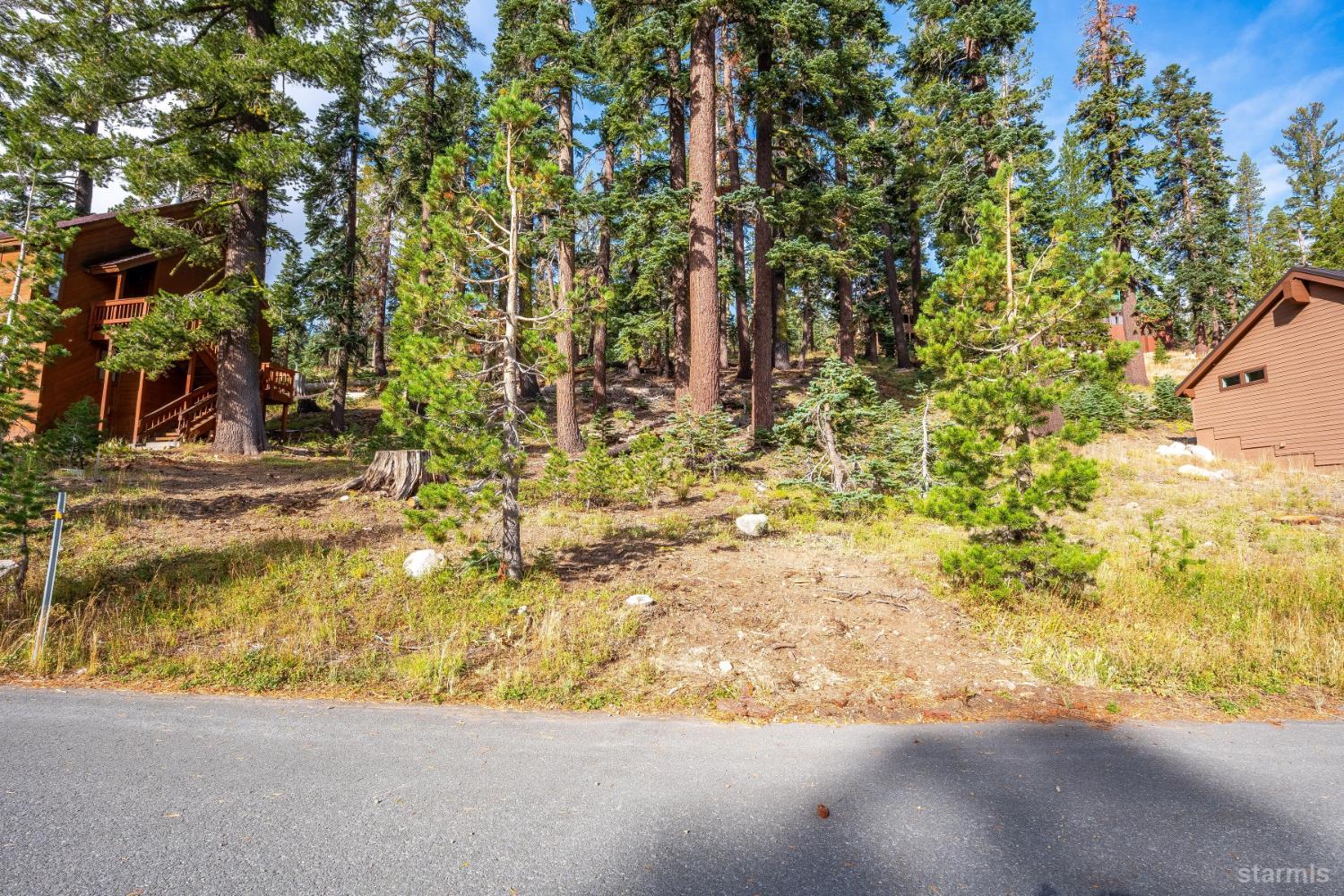 Wooded property with mature pines and cabins beside a paved road.