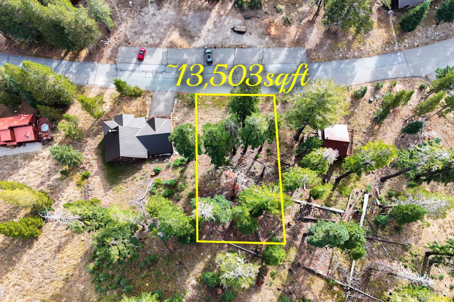 Aerial view of a wooded 13,503-square-foot lot outlined in yellow beside a road.