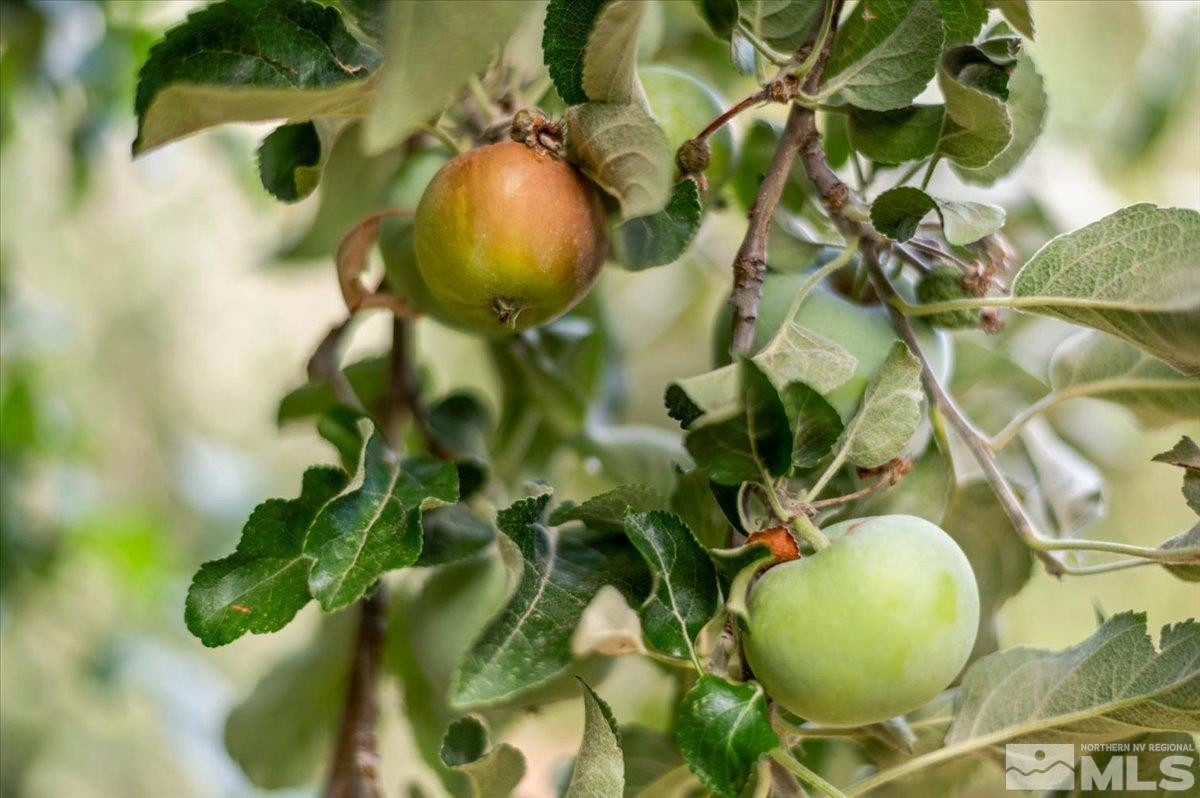 864 Daniel Drive, Reno