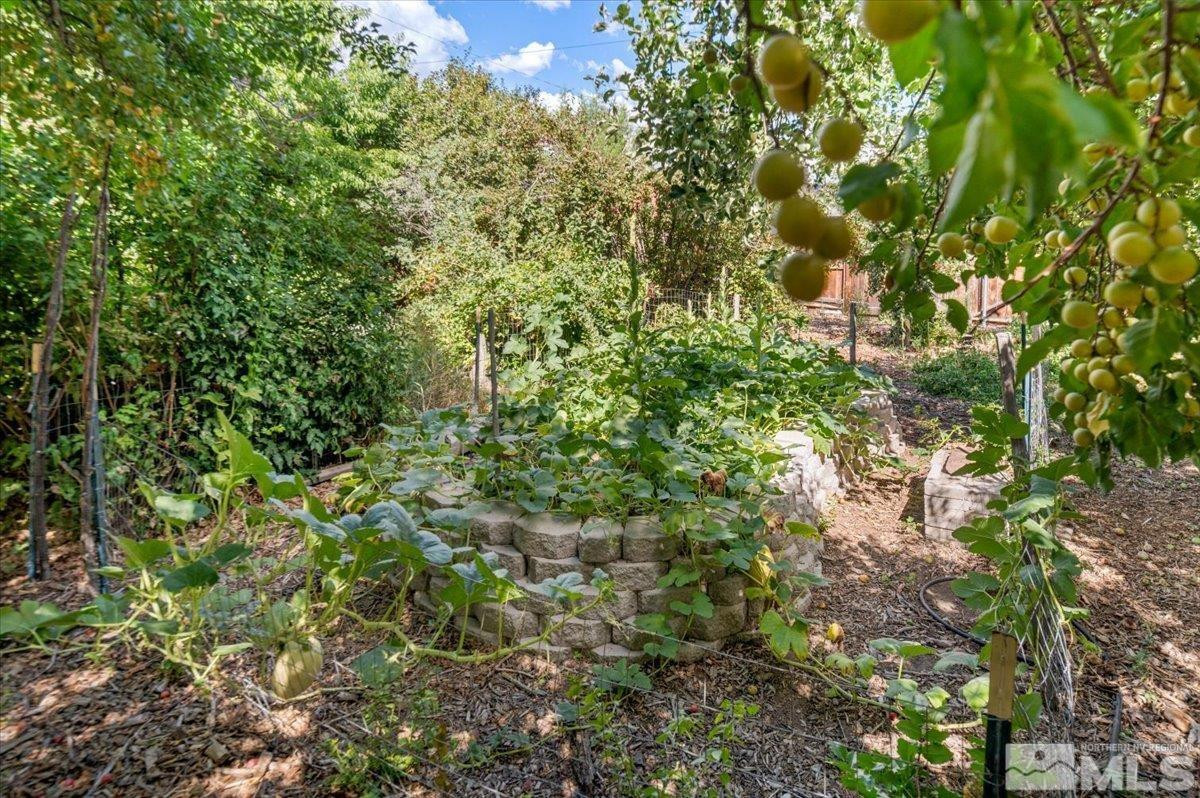 864 Daniel Drive, Reno