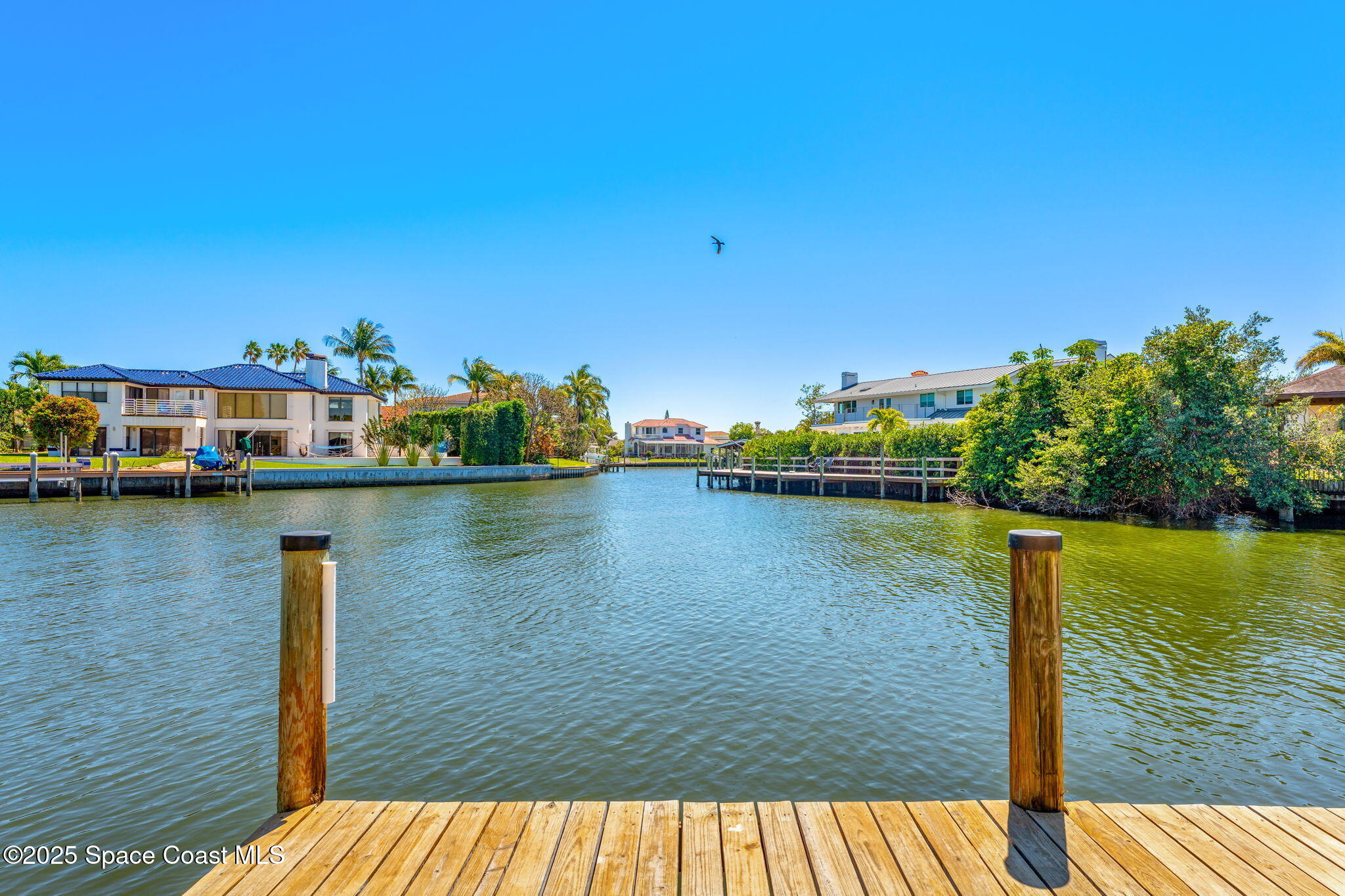 407 Driftwood Avenue