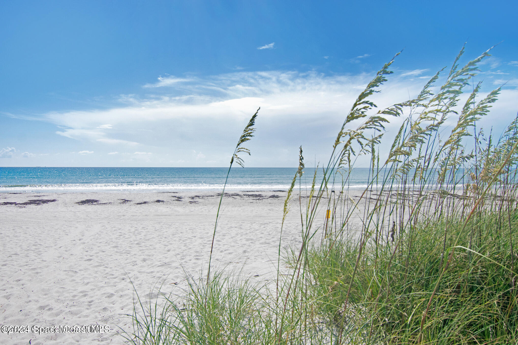 3170 N Atlantic Avenue 713