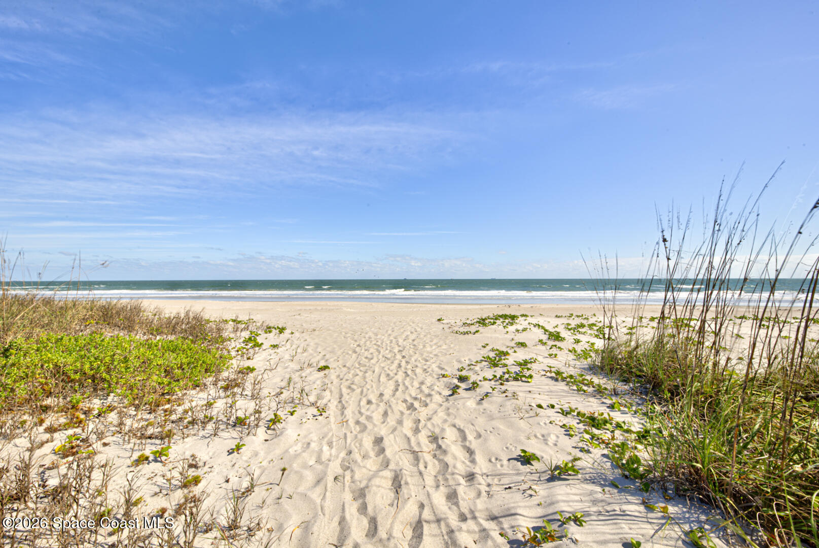 3190 N Atlantic Avenue 129