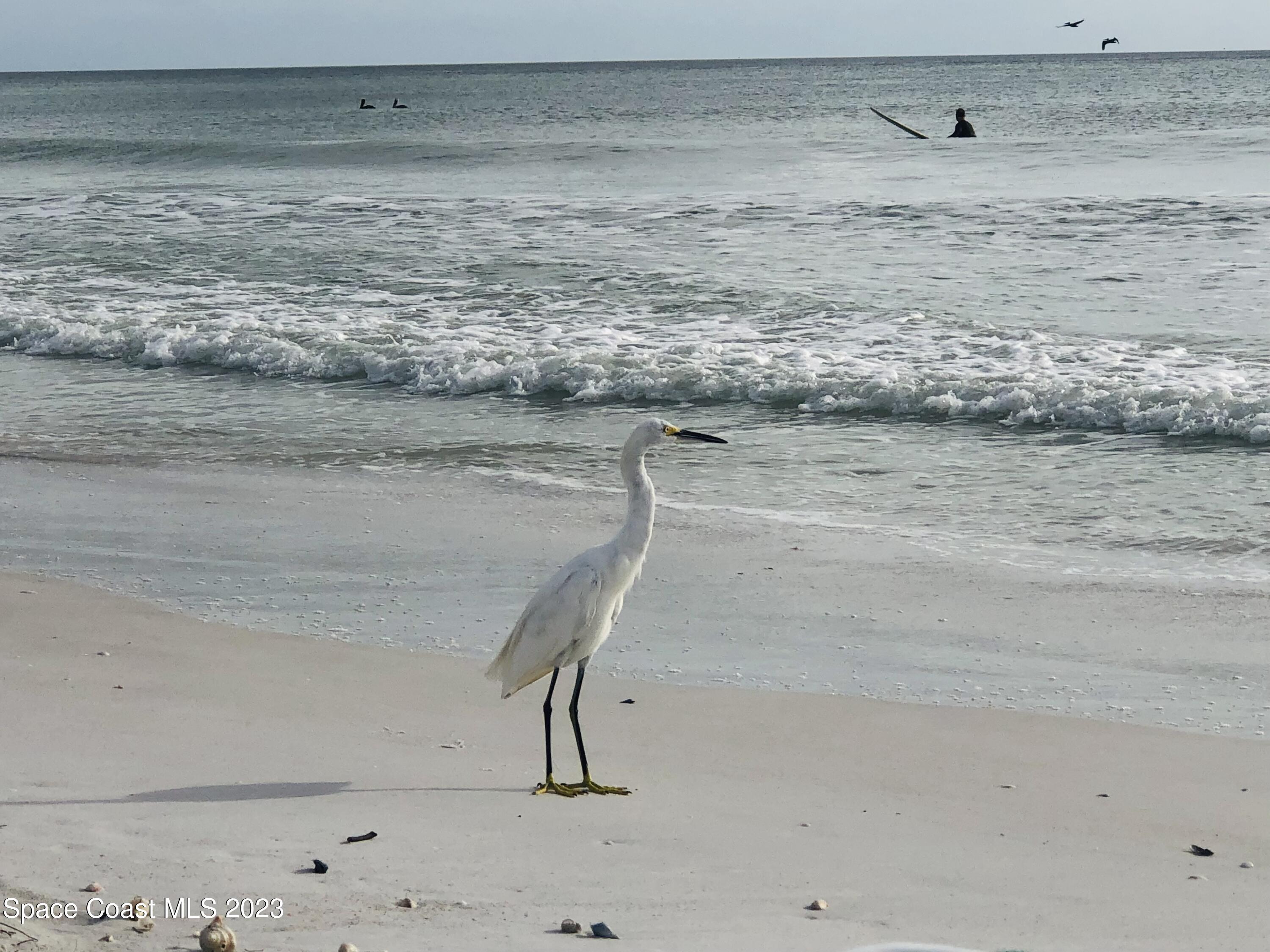 526 Sunset Boulevard