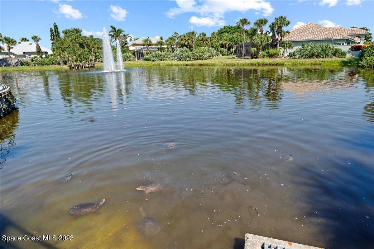 148 Martesia Way