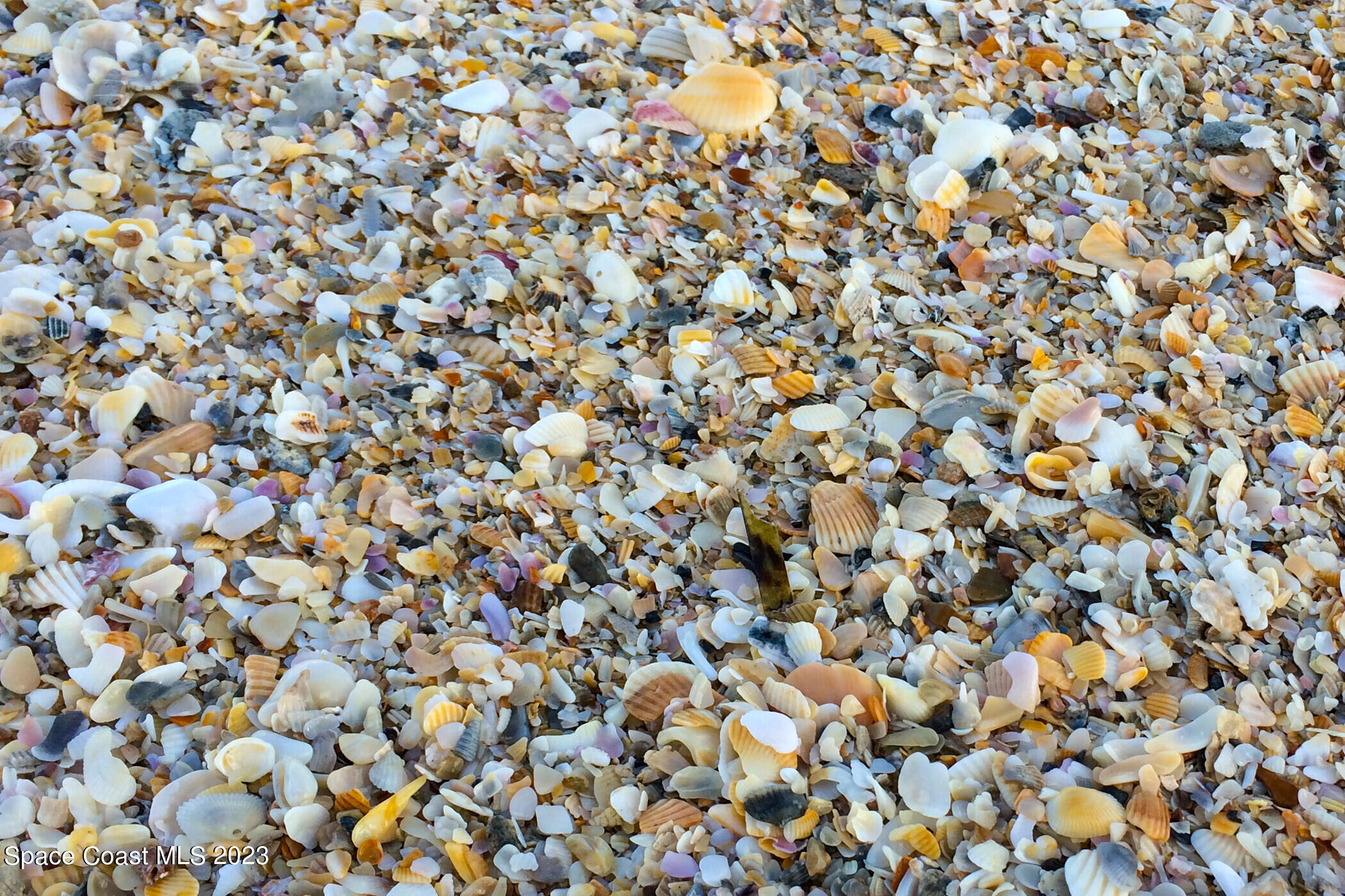 1273 Highway A1a, 206