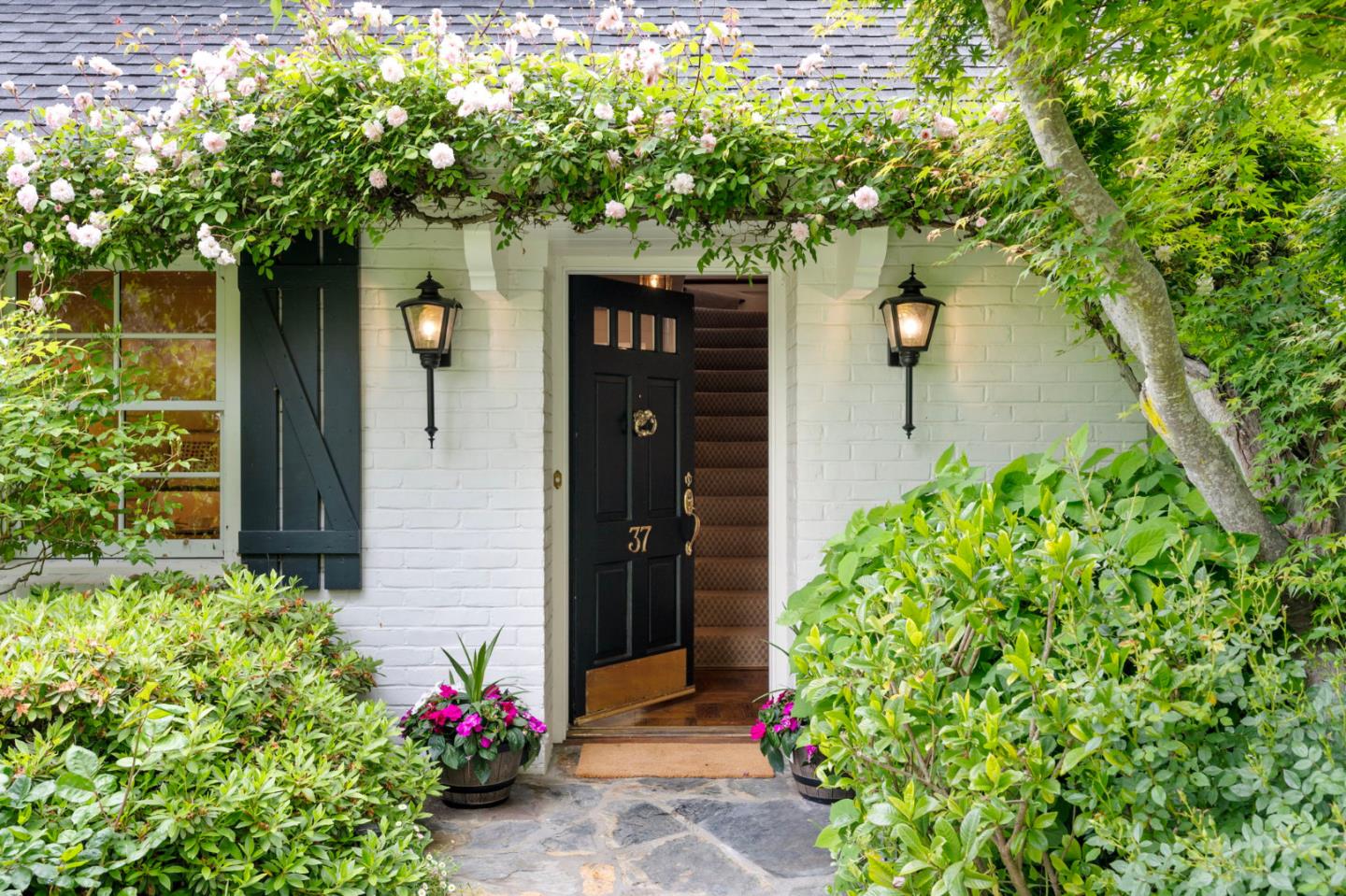 37 Lupin LN
