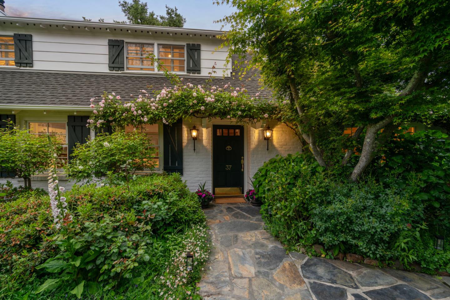 37 Lupin LN