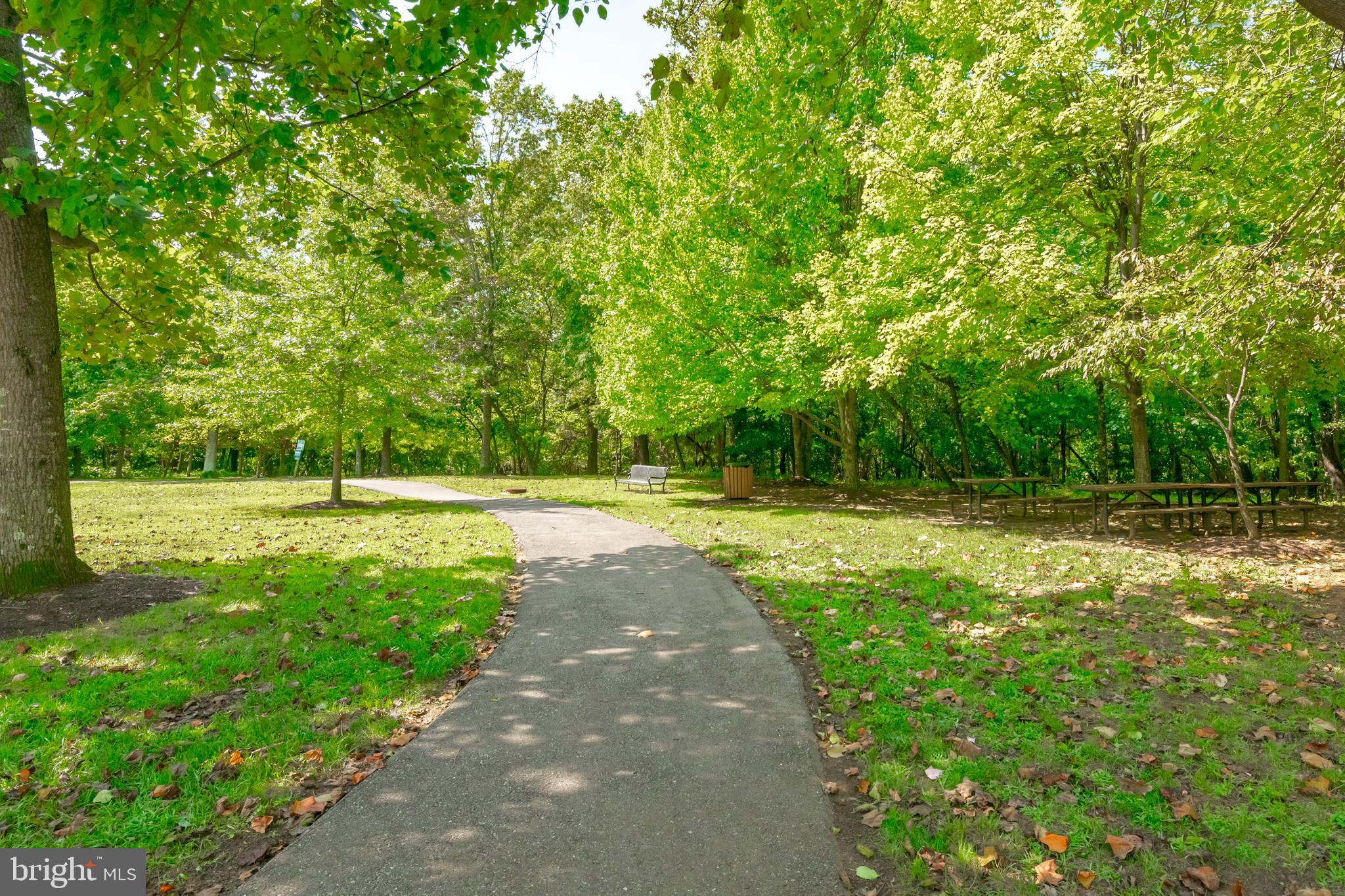 2026 GOV THOMAS BLADEN WAY 203