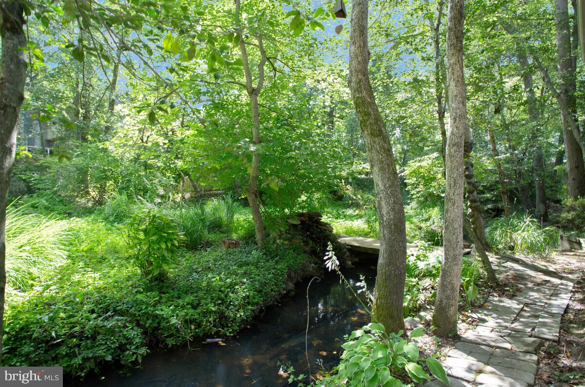 558 HERONS NEST