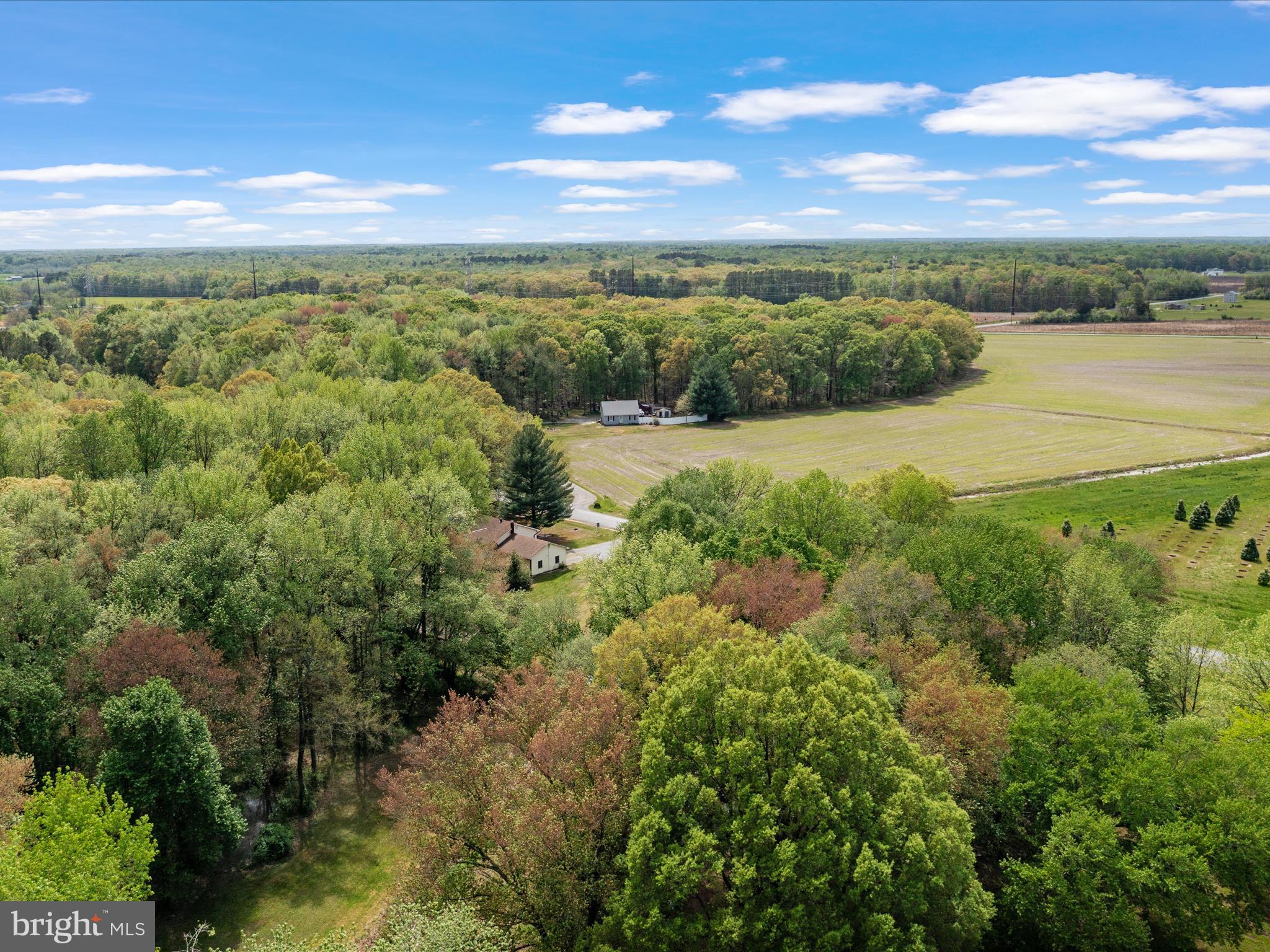 18089 Templeville Rd