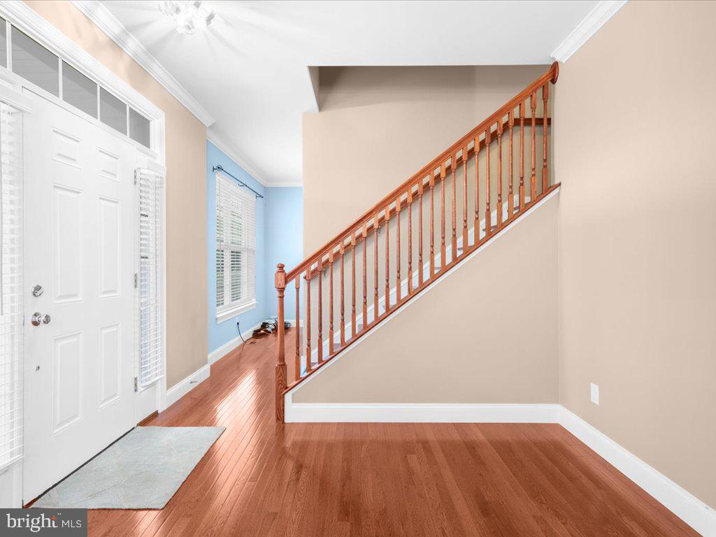 353 Willow Branch Rd