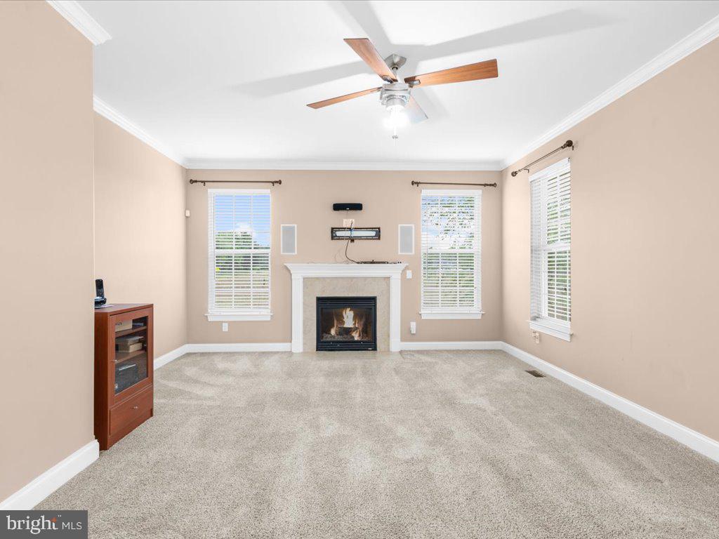 353 Willow Branch Rd