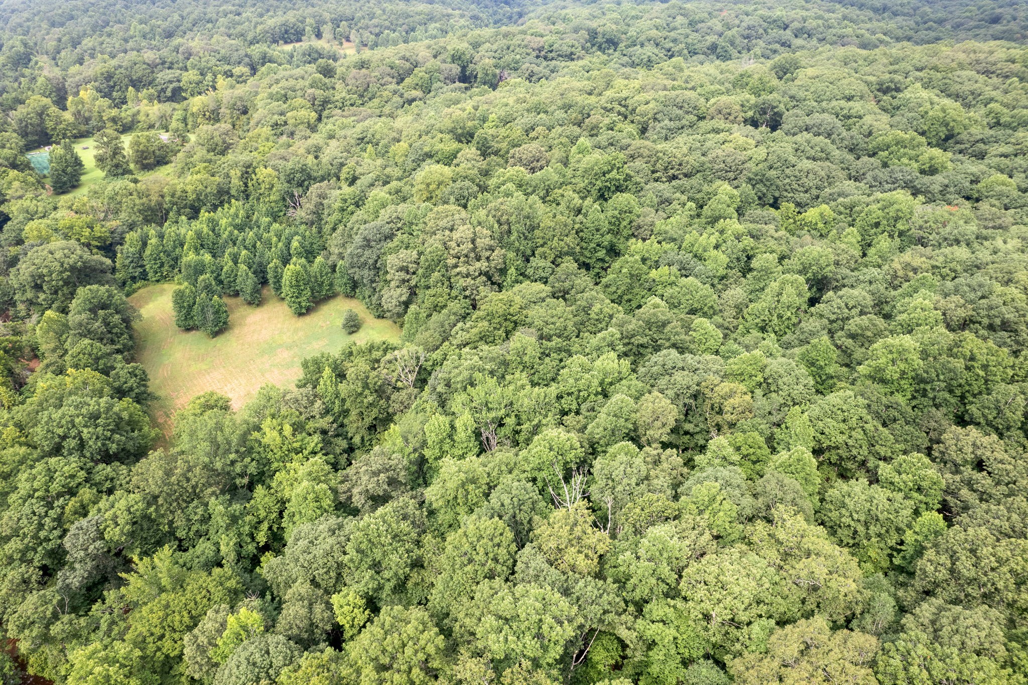 870 Elk Creek Road