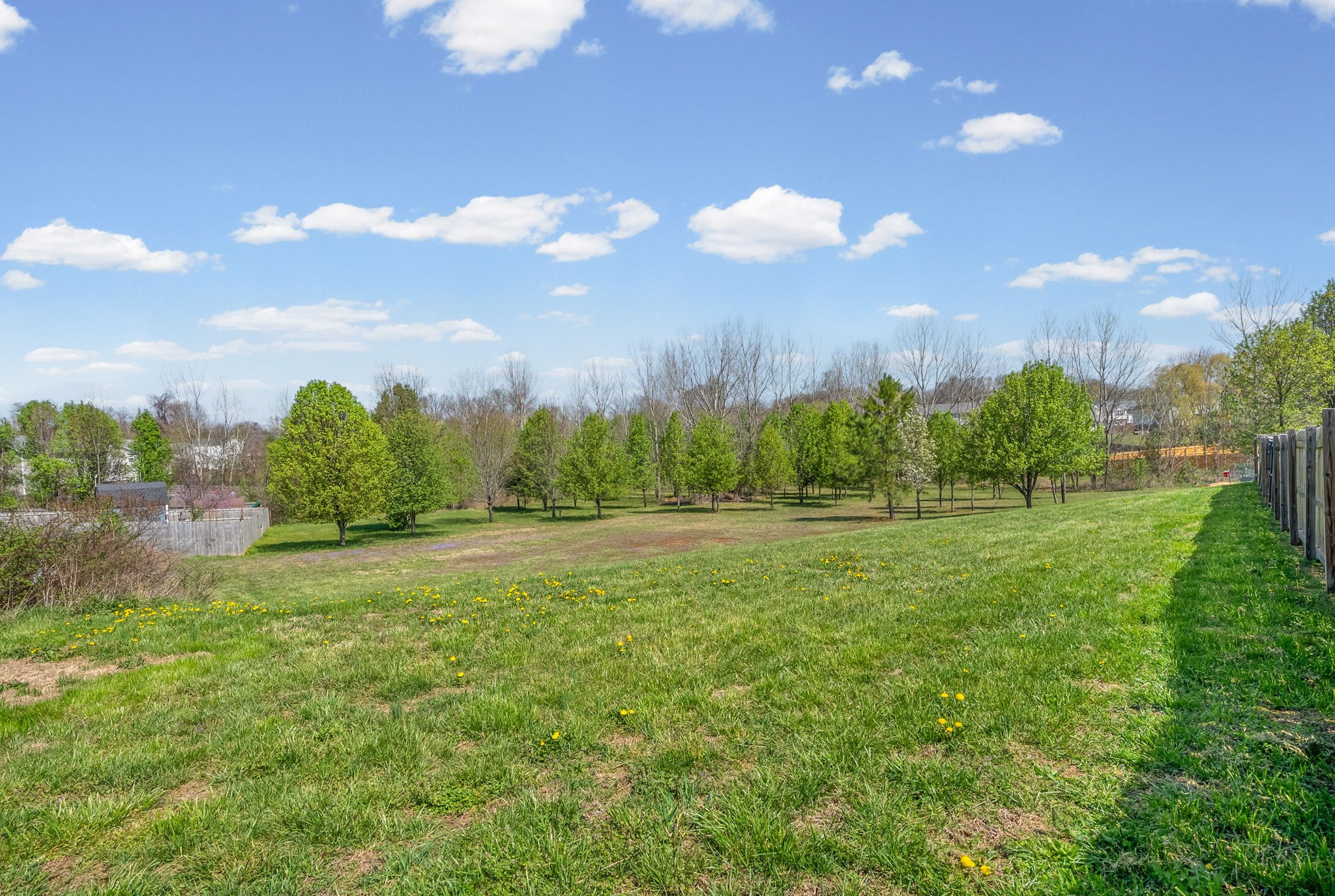 937 Commission Dr