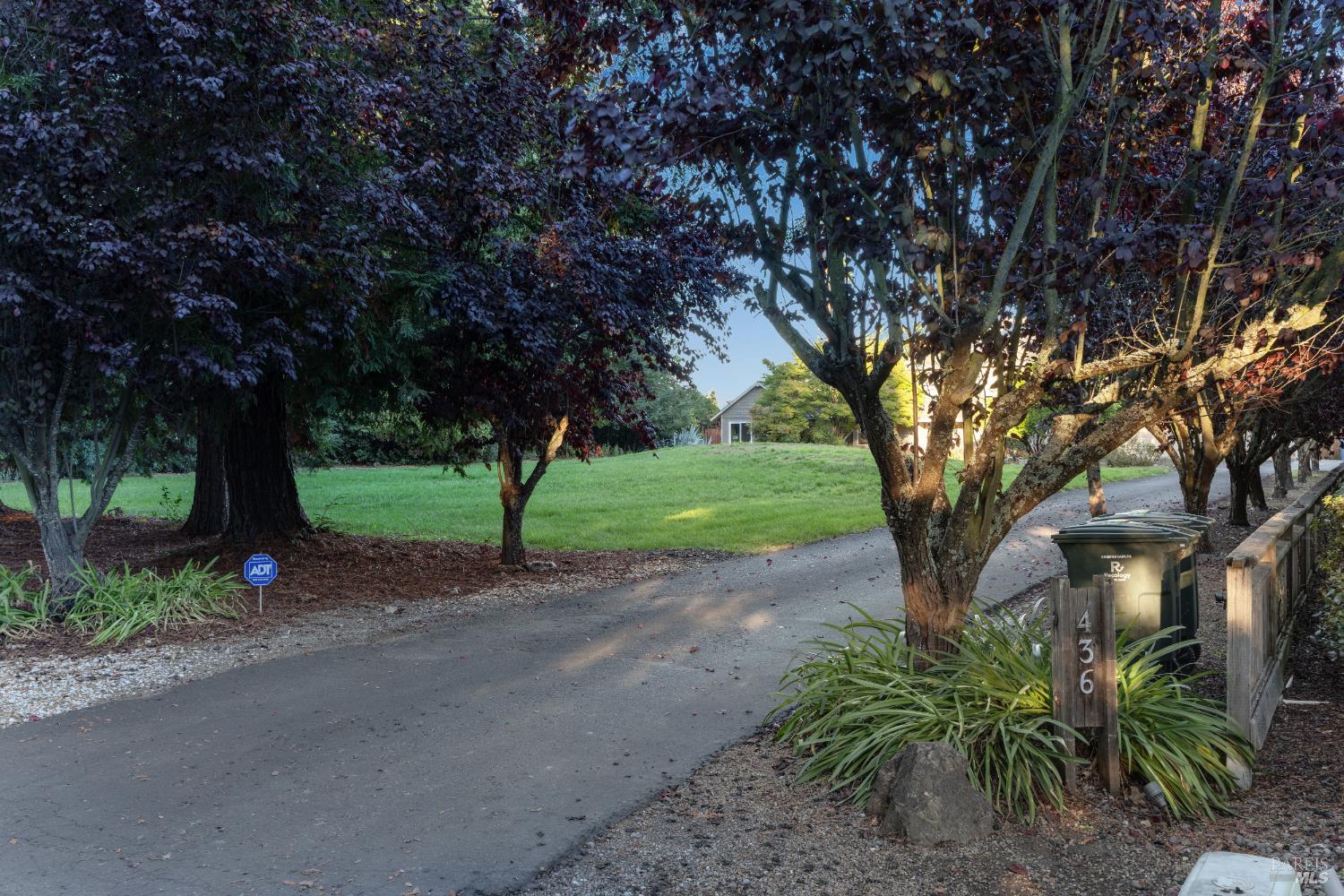 436 Laguna Vista Rd