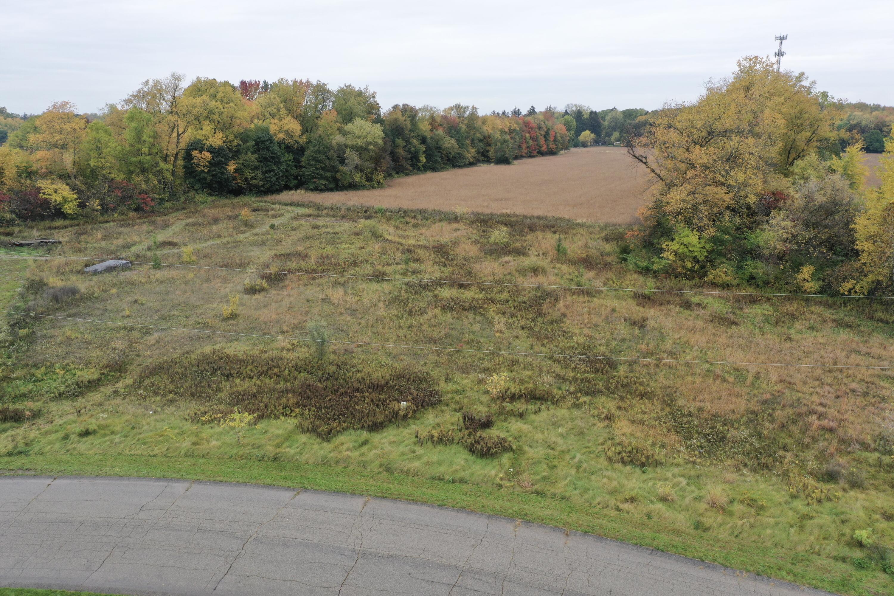 3676 New Farm Street