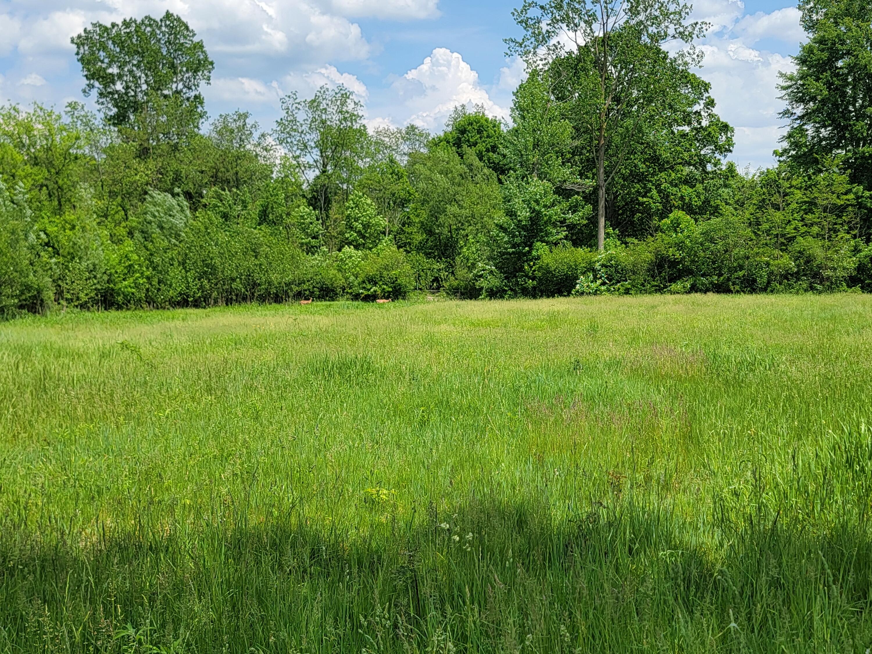 11447 E Michigan Avenue