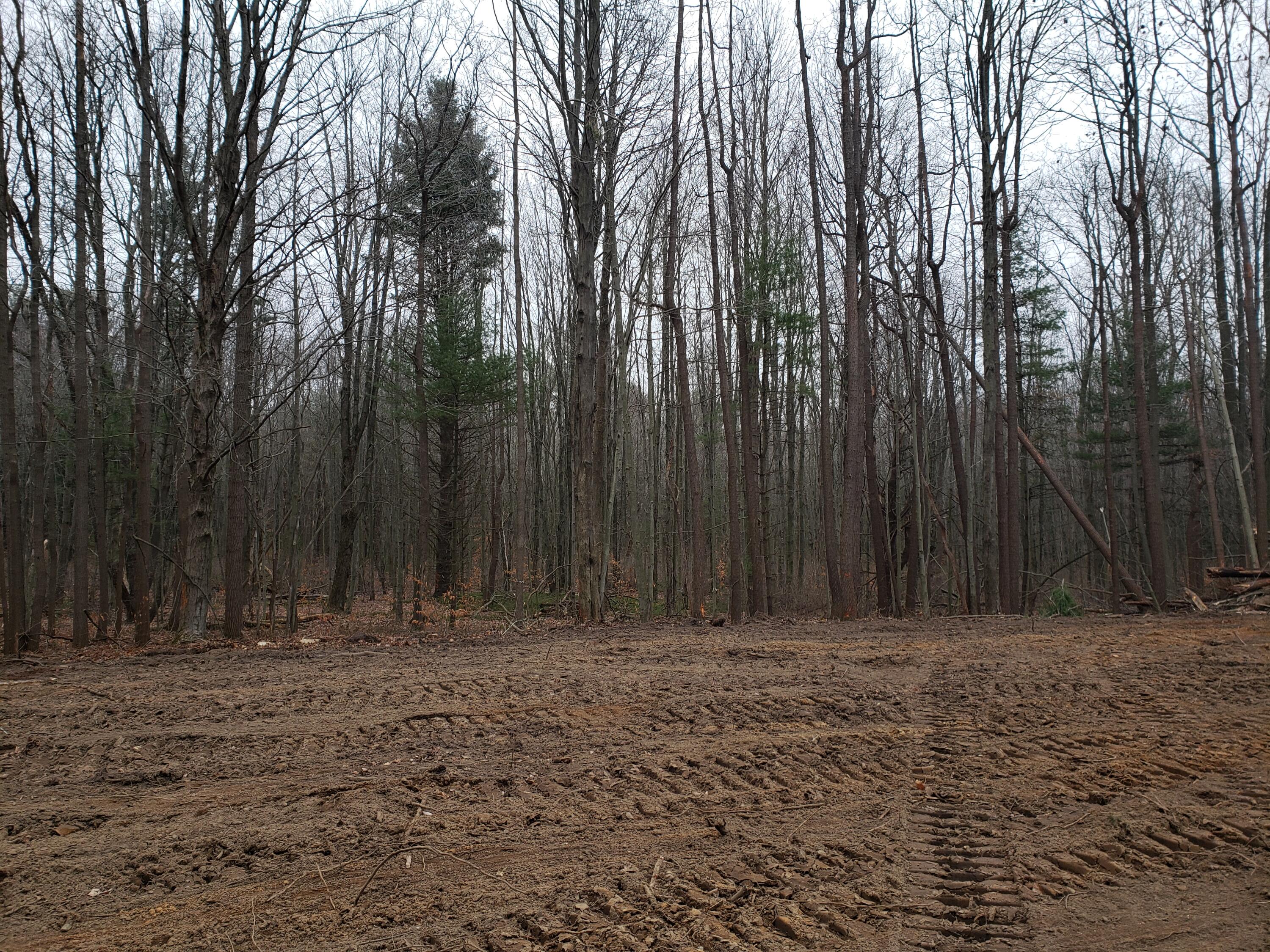 2541 Blue Star Highway