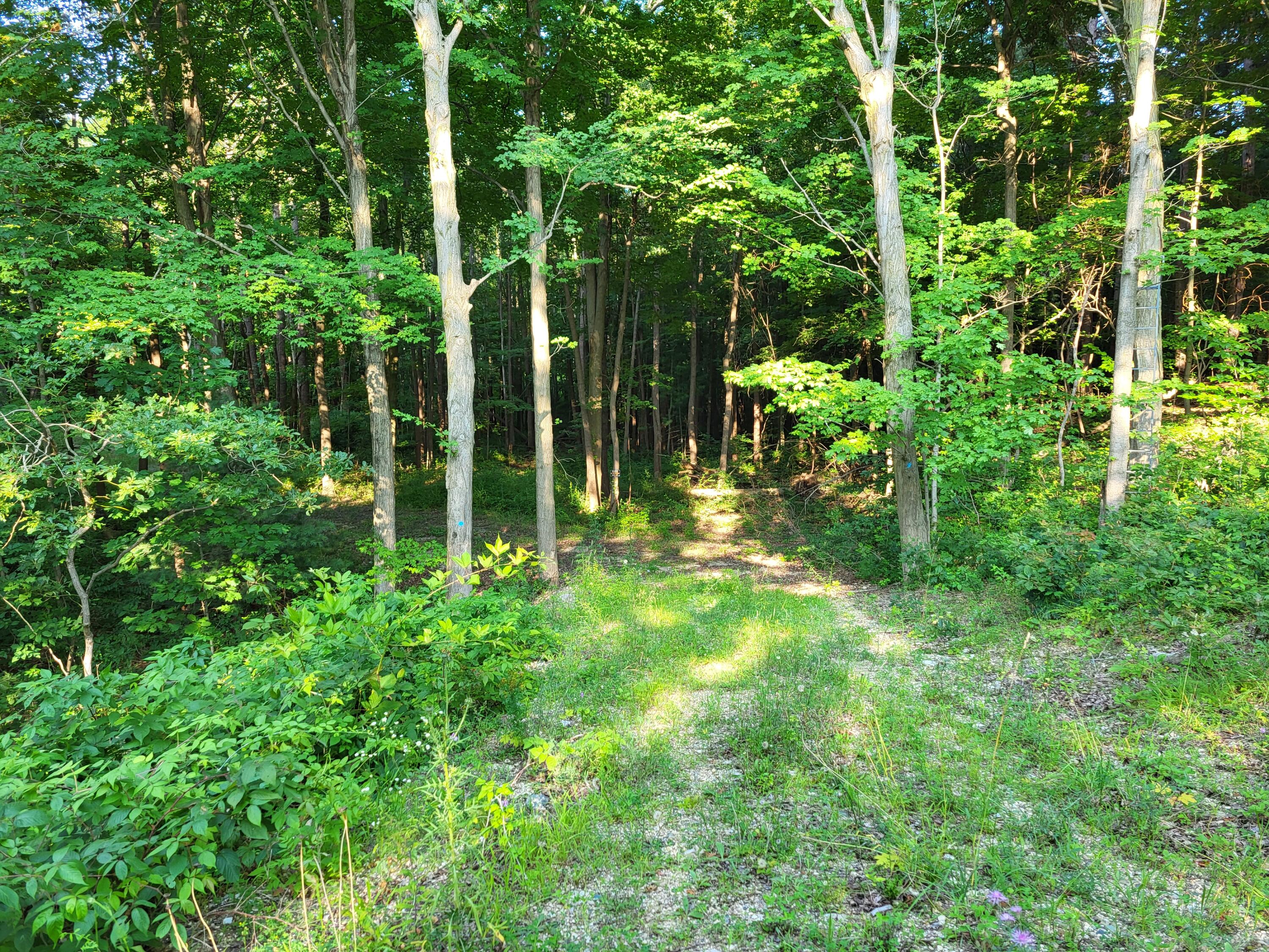 2541 Blue Star Highway