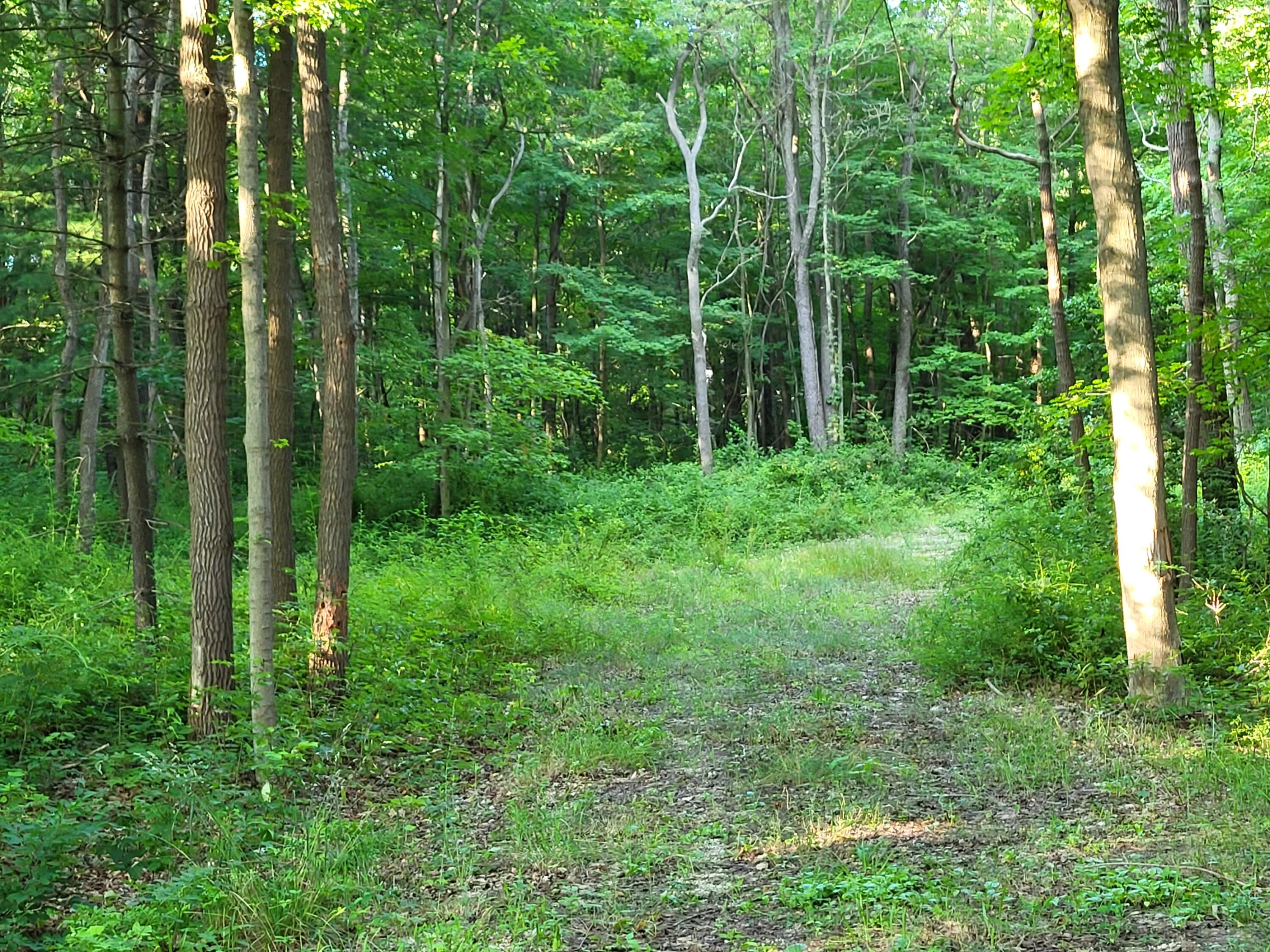 2541 Blue Star Highway