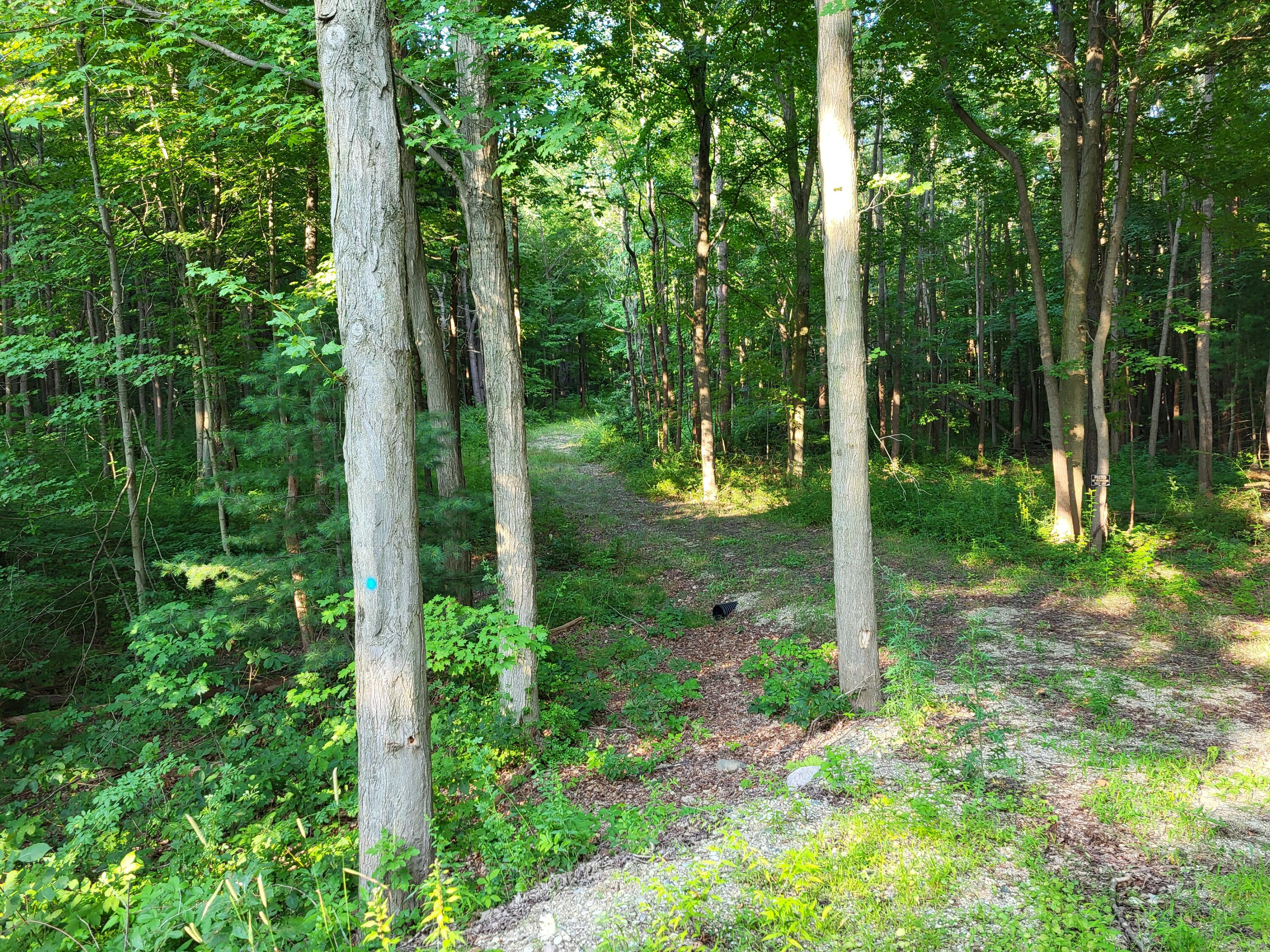 2541 Blue Star Highway