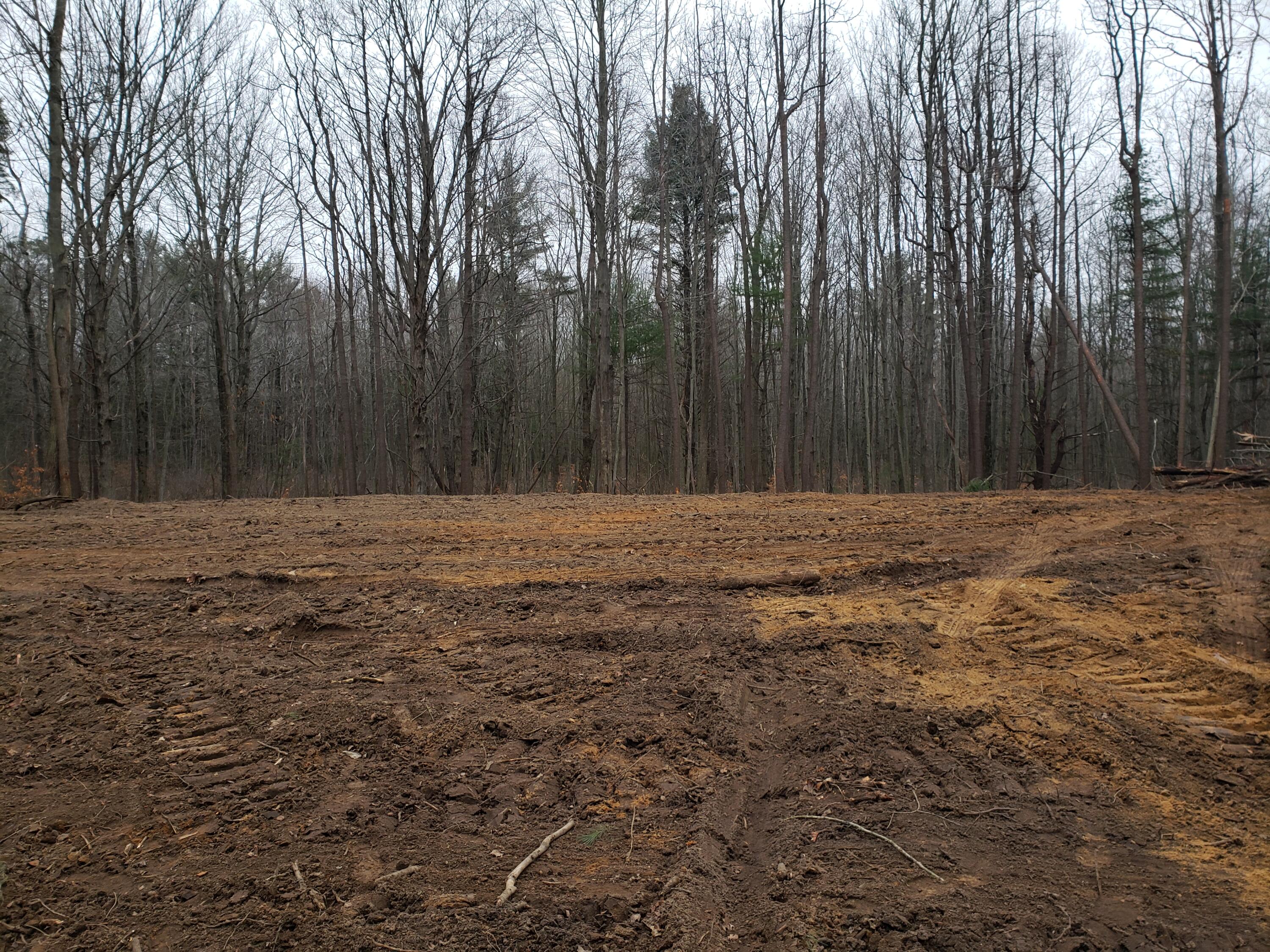 2541 Blue Star Highway