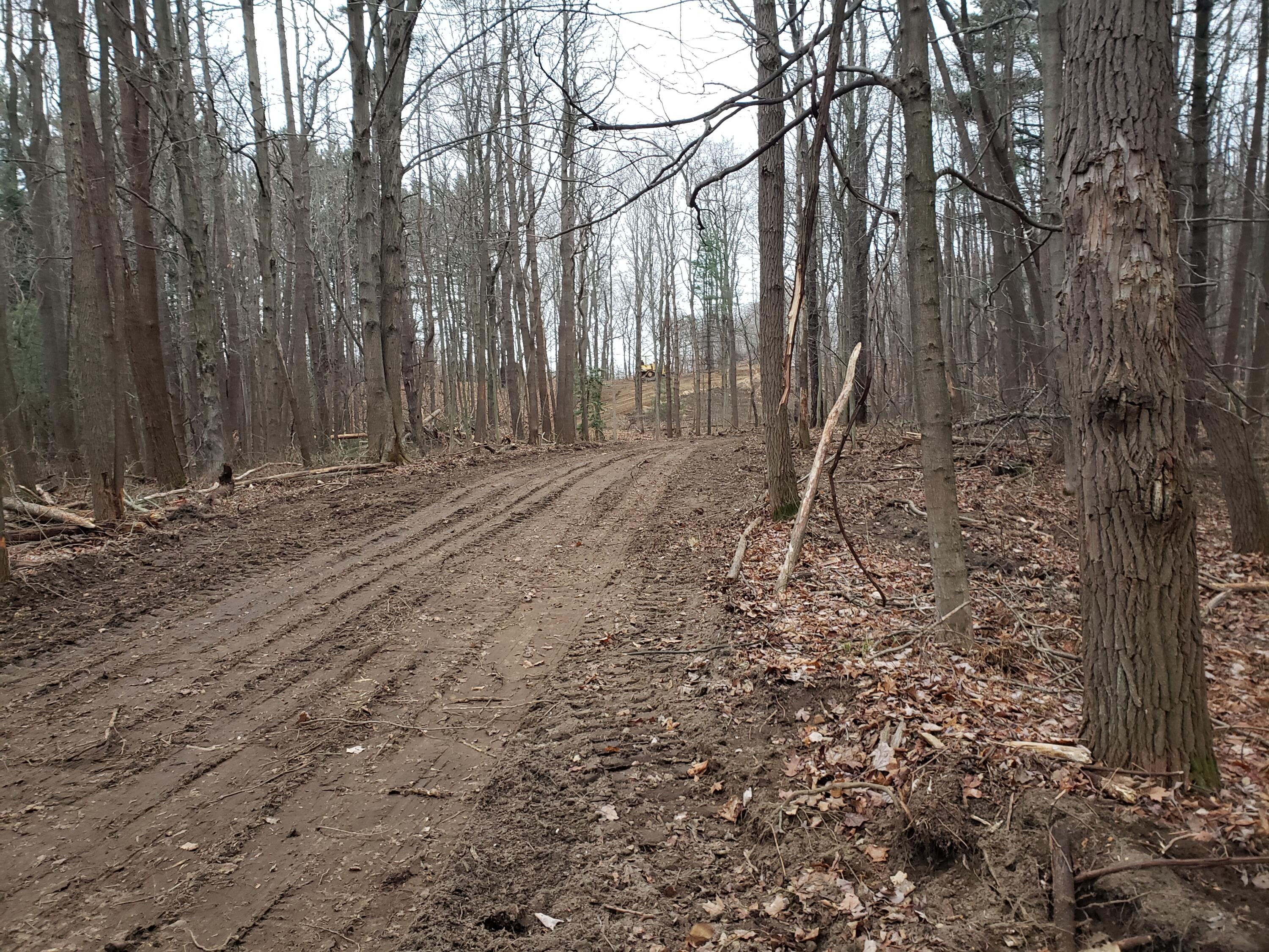 2541 Blue Star Highway