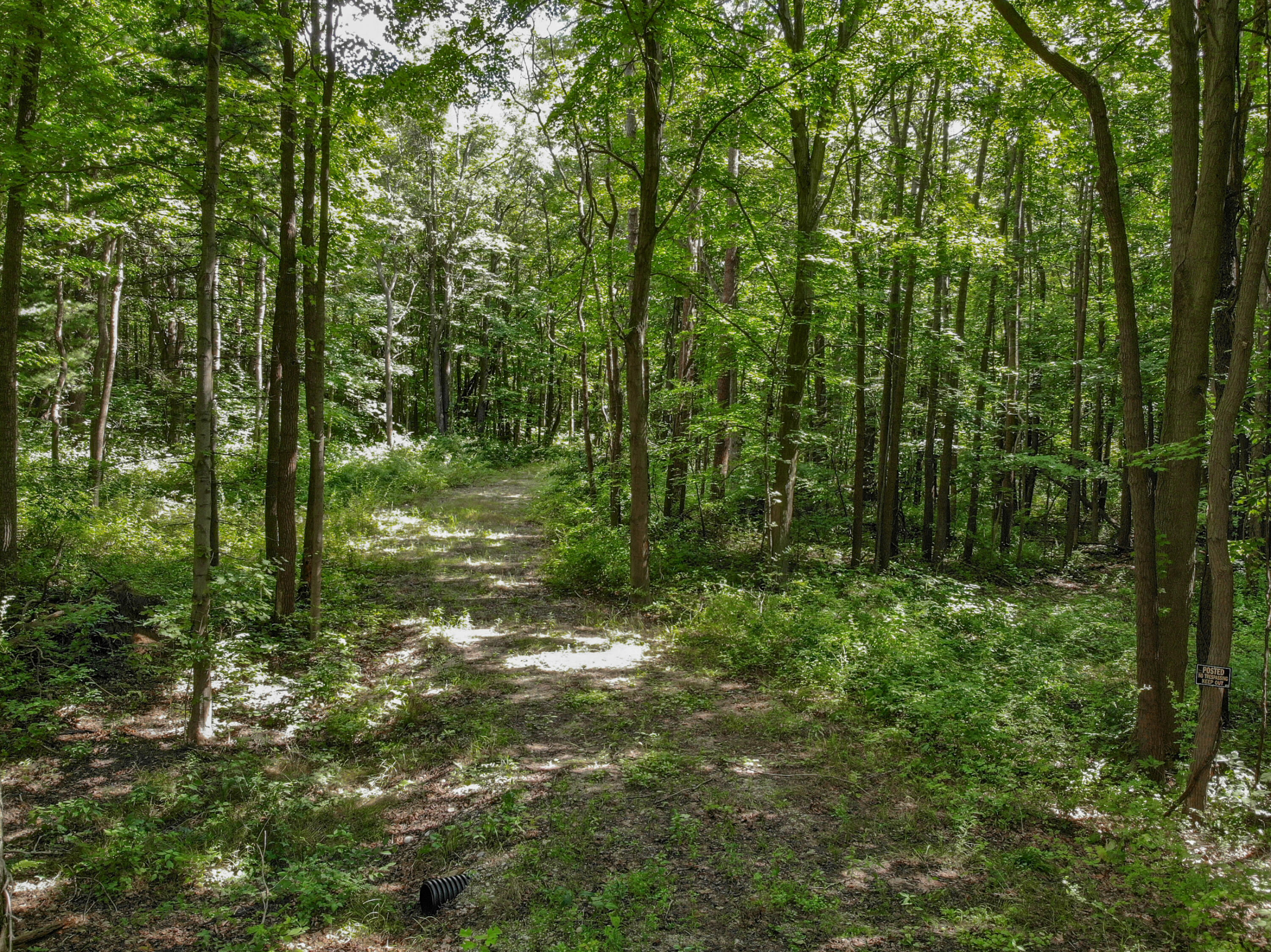 2541 Blue Star Highway