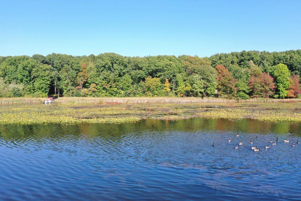 50th Vacant Lake Land 1 Street