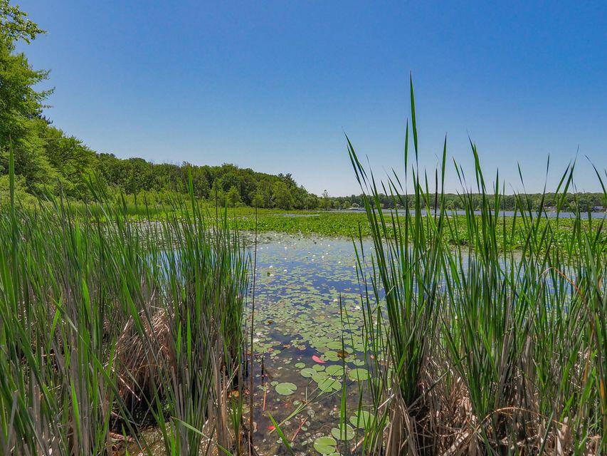 50th Vacant Lake Land 1 Street