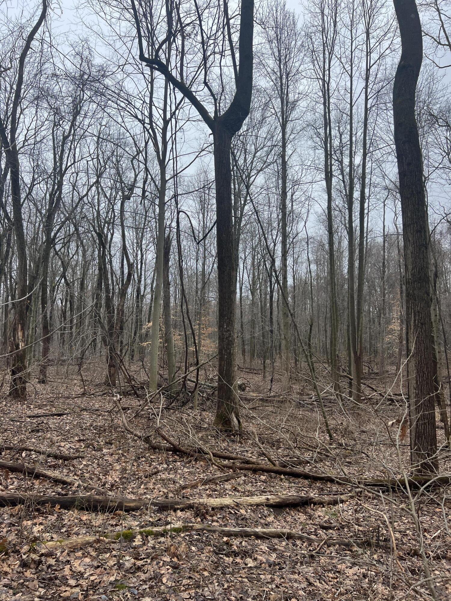 14th Street VL 19.81 Acres