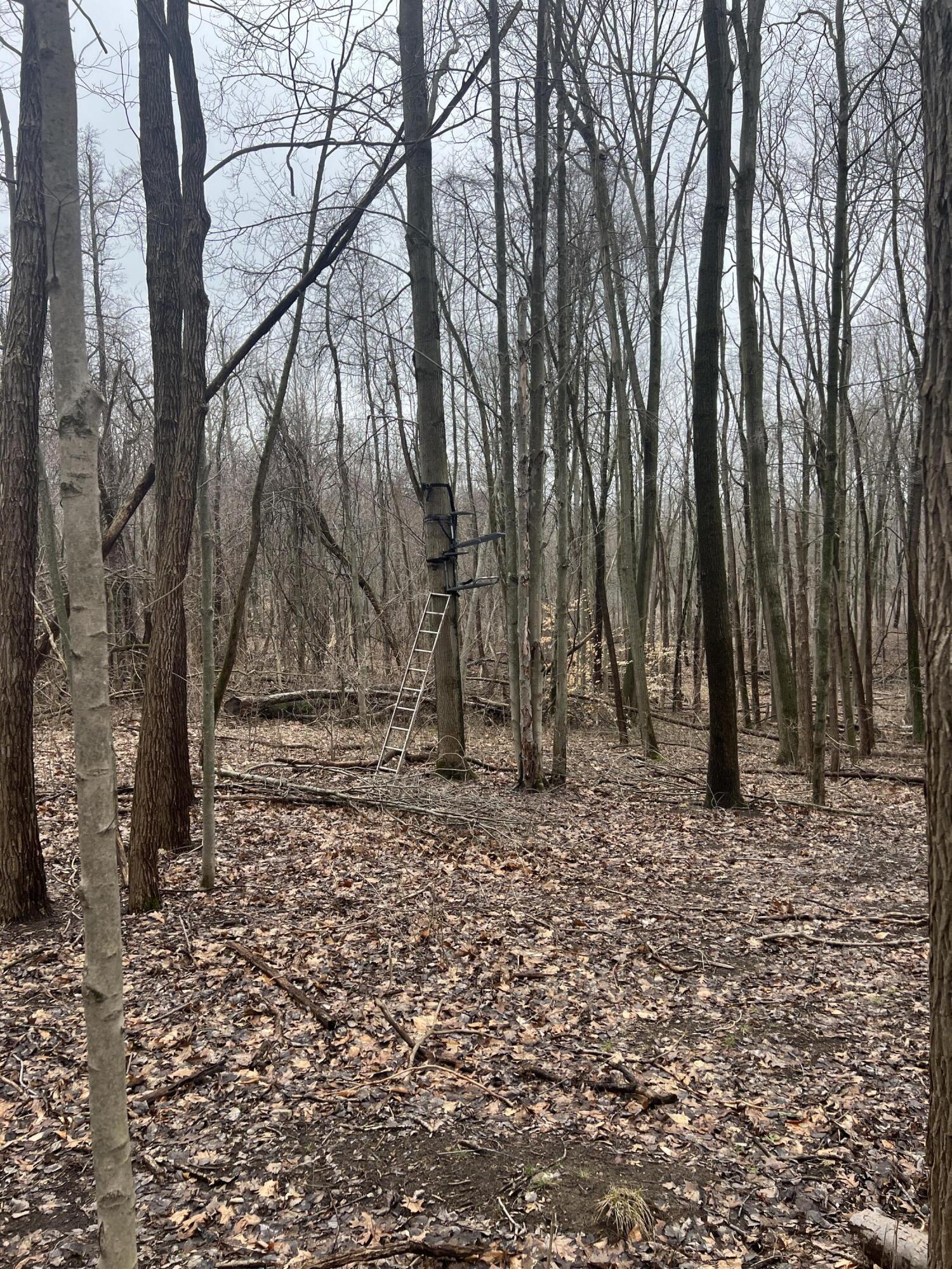 14th Street VL 19.81 Acres